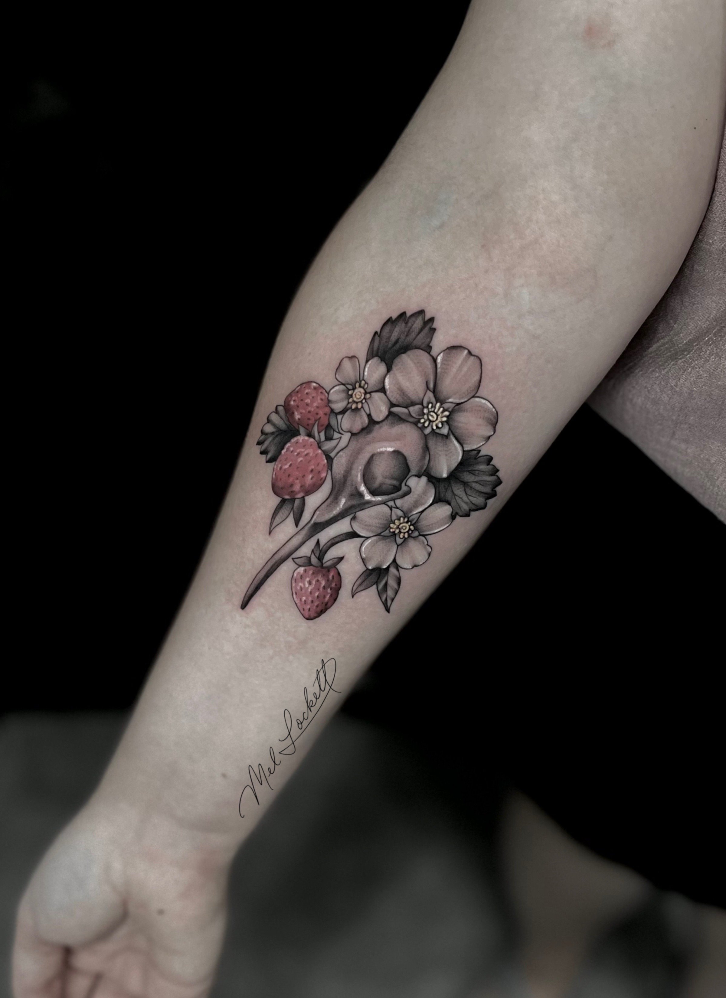 B&G animal illustrative .jpeg