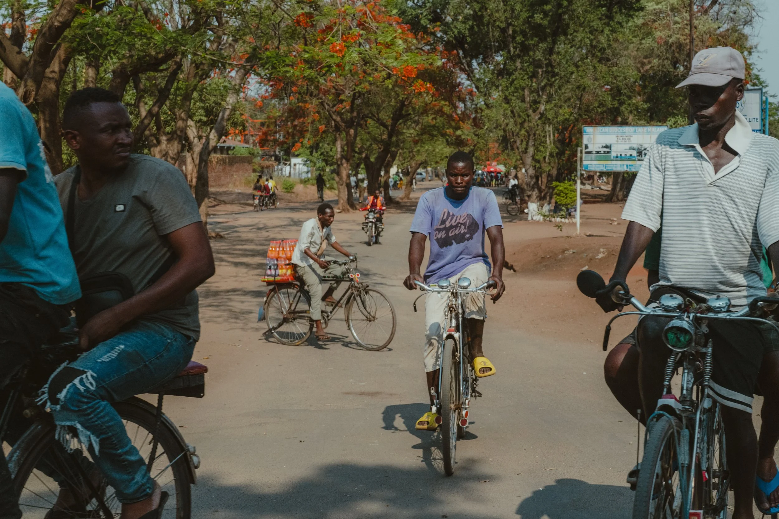 Several people riding bicycles on a road lined with trees and some standing or walking nearby.