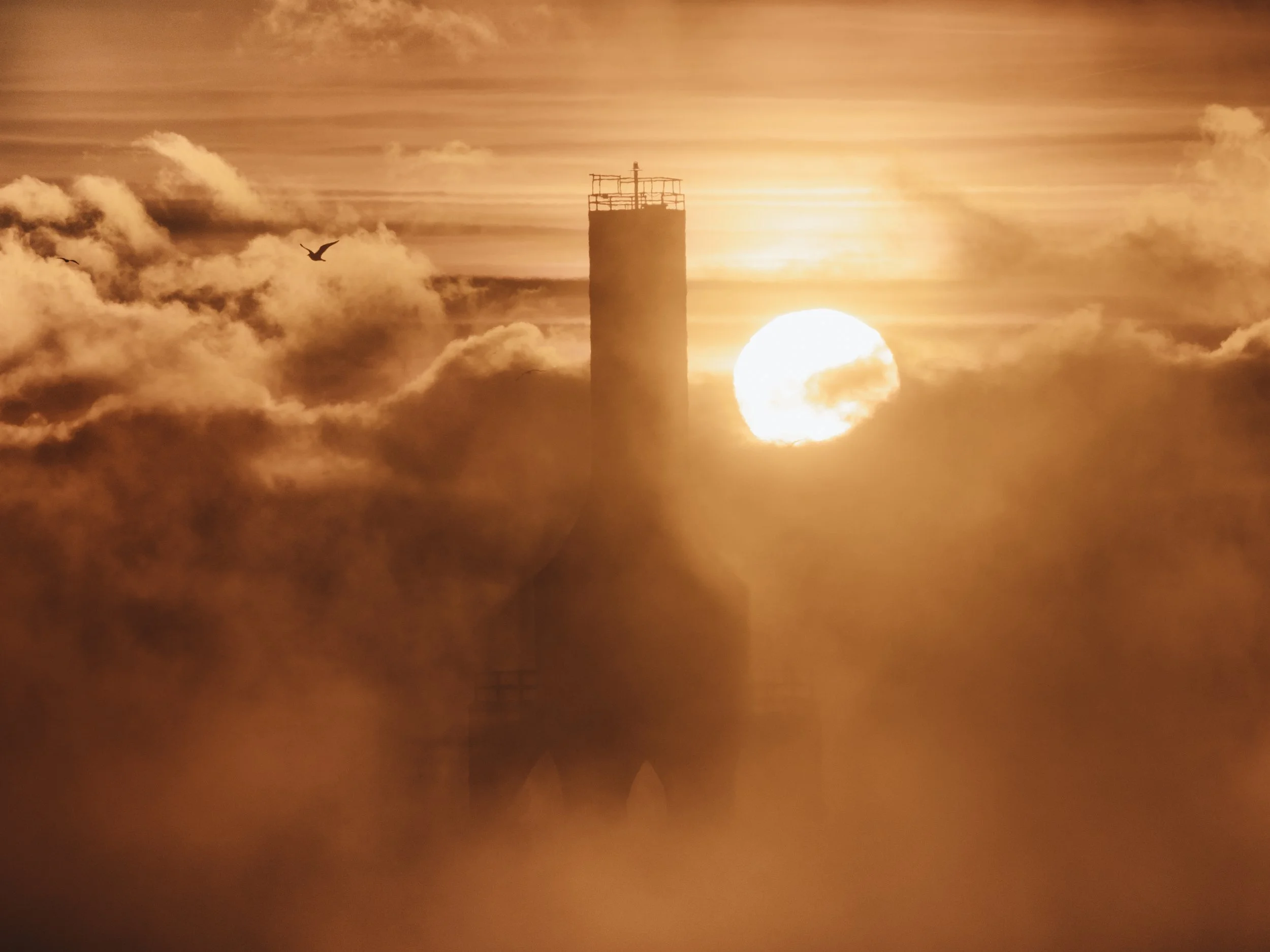 Sunset or sunrise behind a tower surrounded by clouds and fog, with a bird flying nearby.