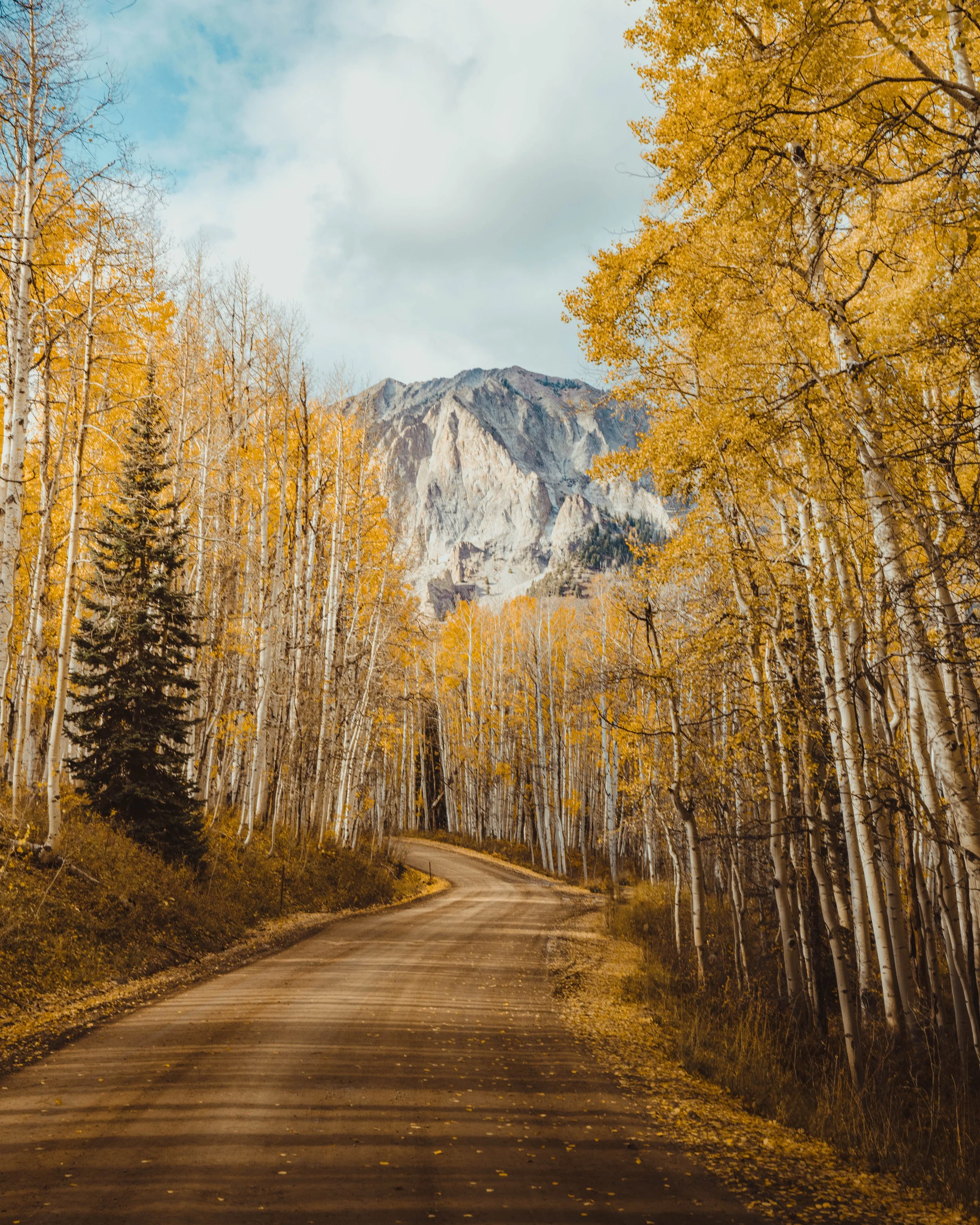 A winding dirt road through a forest of orange and yellow fall trees with mountains in the background.