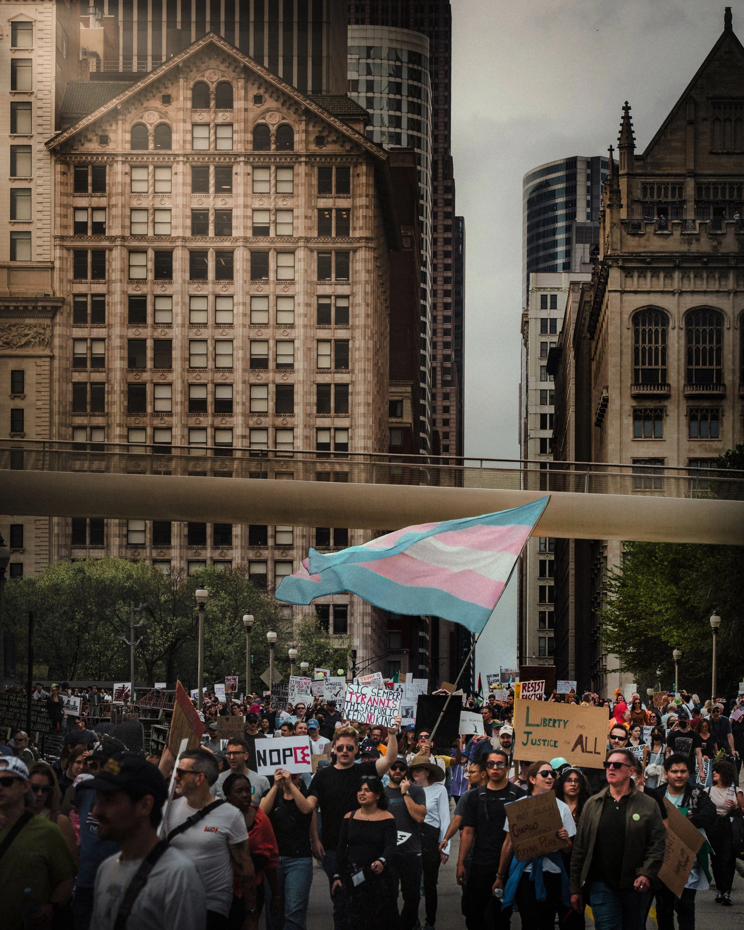 Transgender Day of Visibility