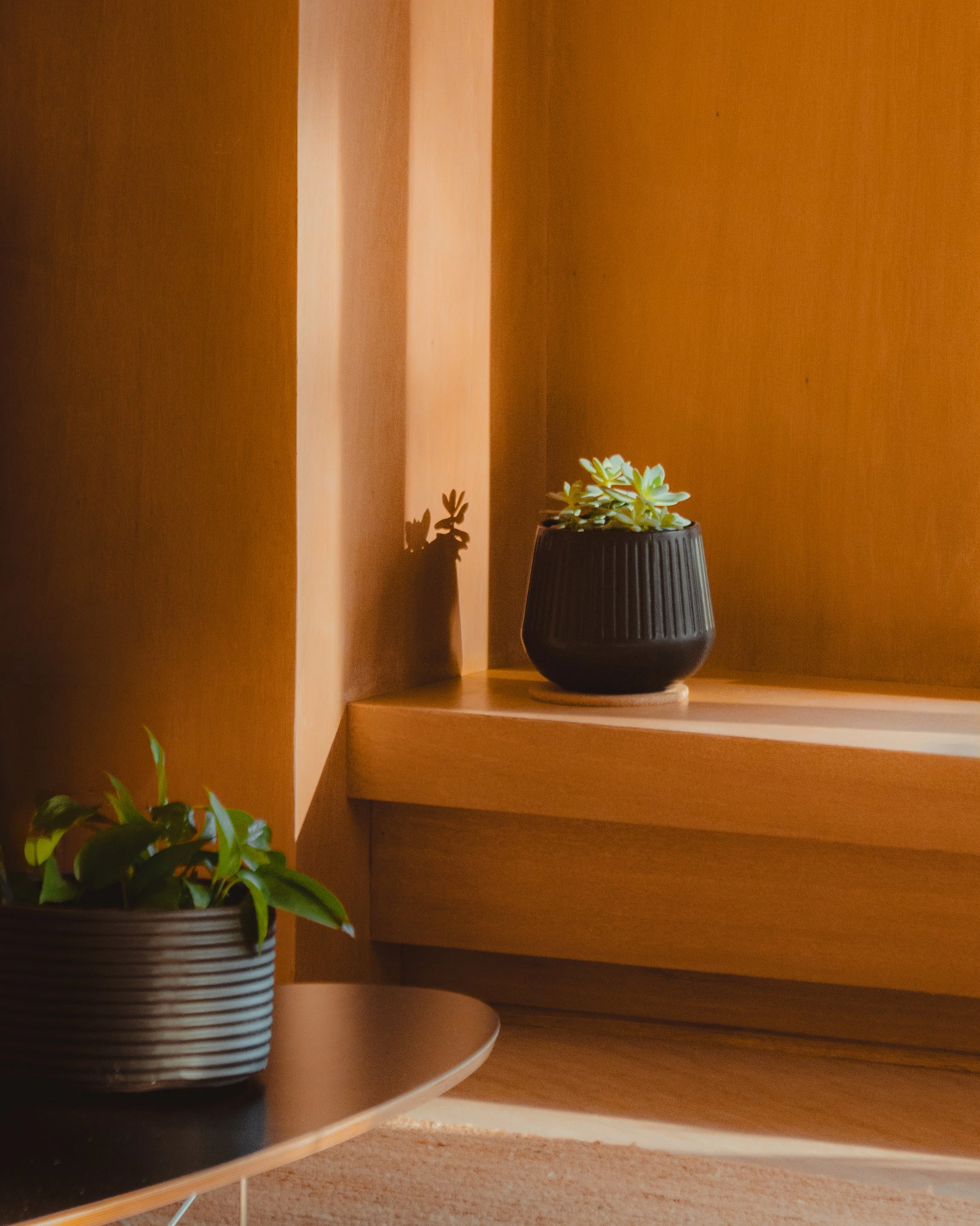 A minimalist interior scene with two potted plants and wooden surfaces, featuring a small black pot with succulents on a window shelf and another green plant in a ribbed black pot on a round table.