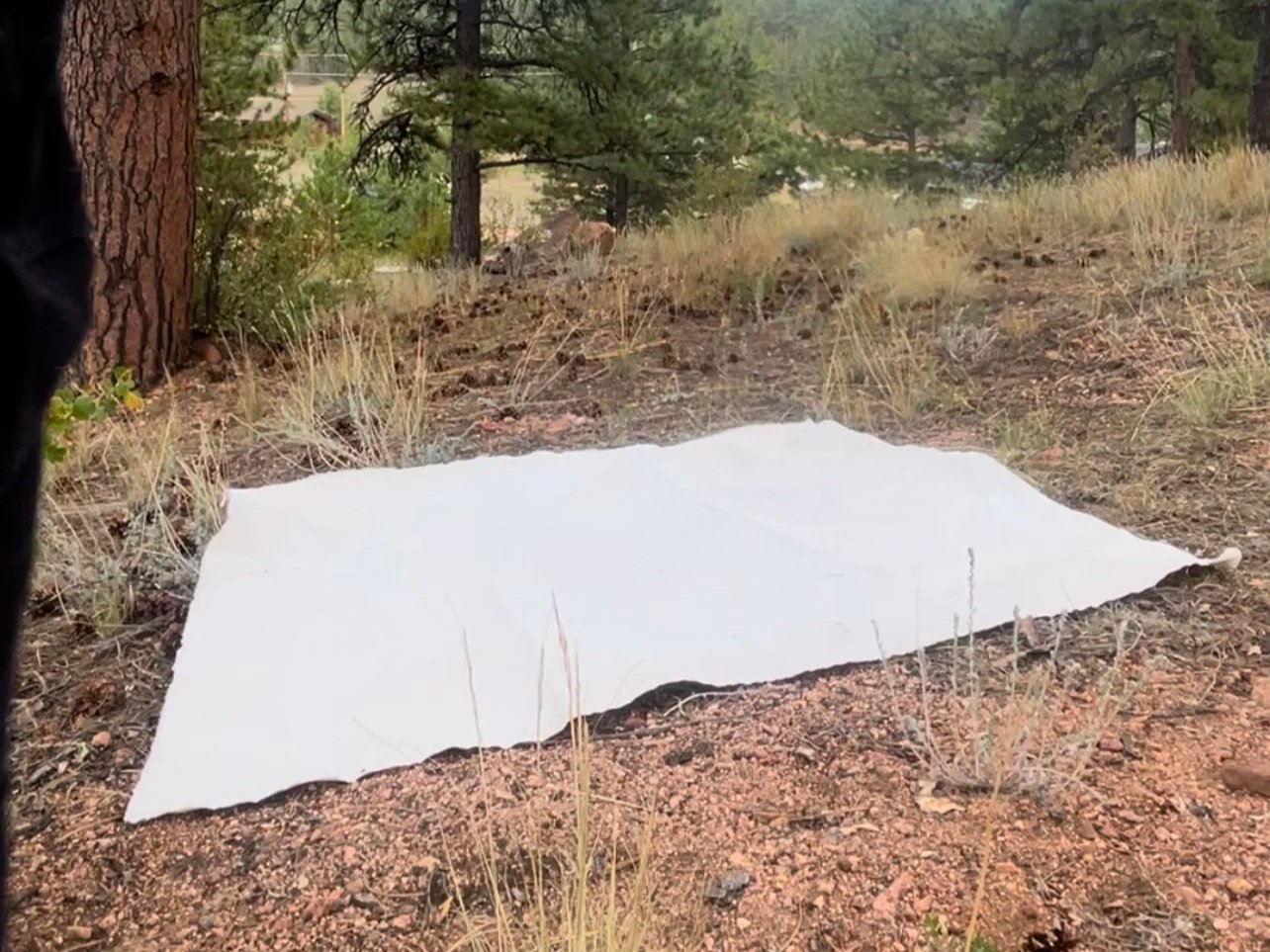 Raw canvas placed directly on the forest floor.