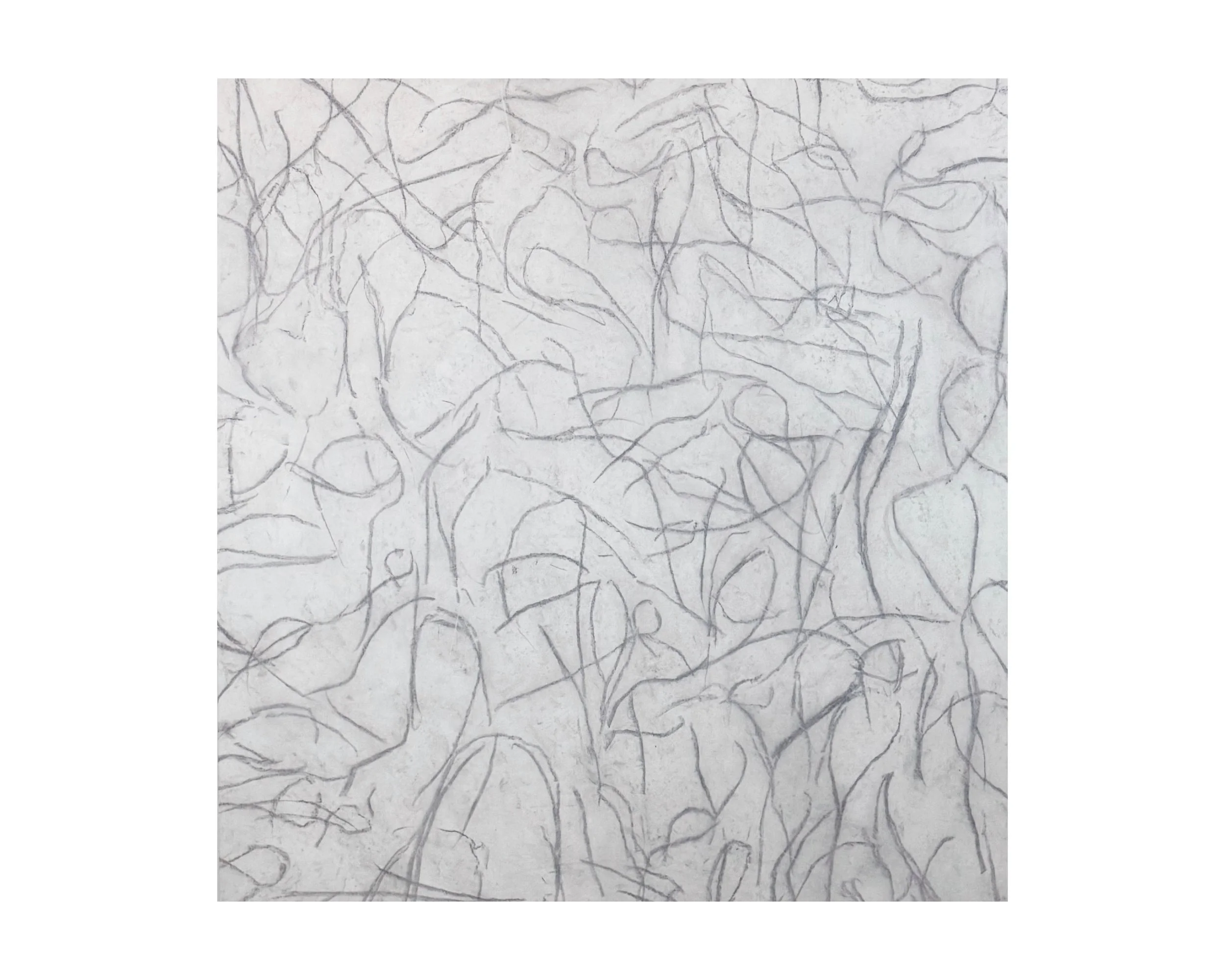 We Are in This Together. Pastel, gesso, and natural materials on canvas, 60 × 58 × 2 in., 2024–2026. Series: Elsewhere