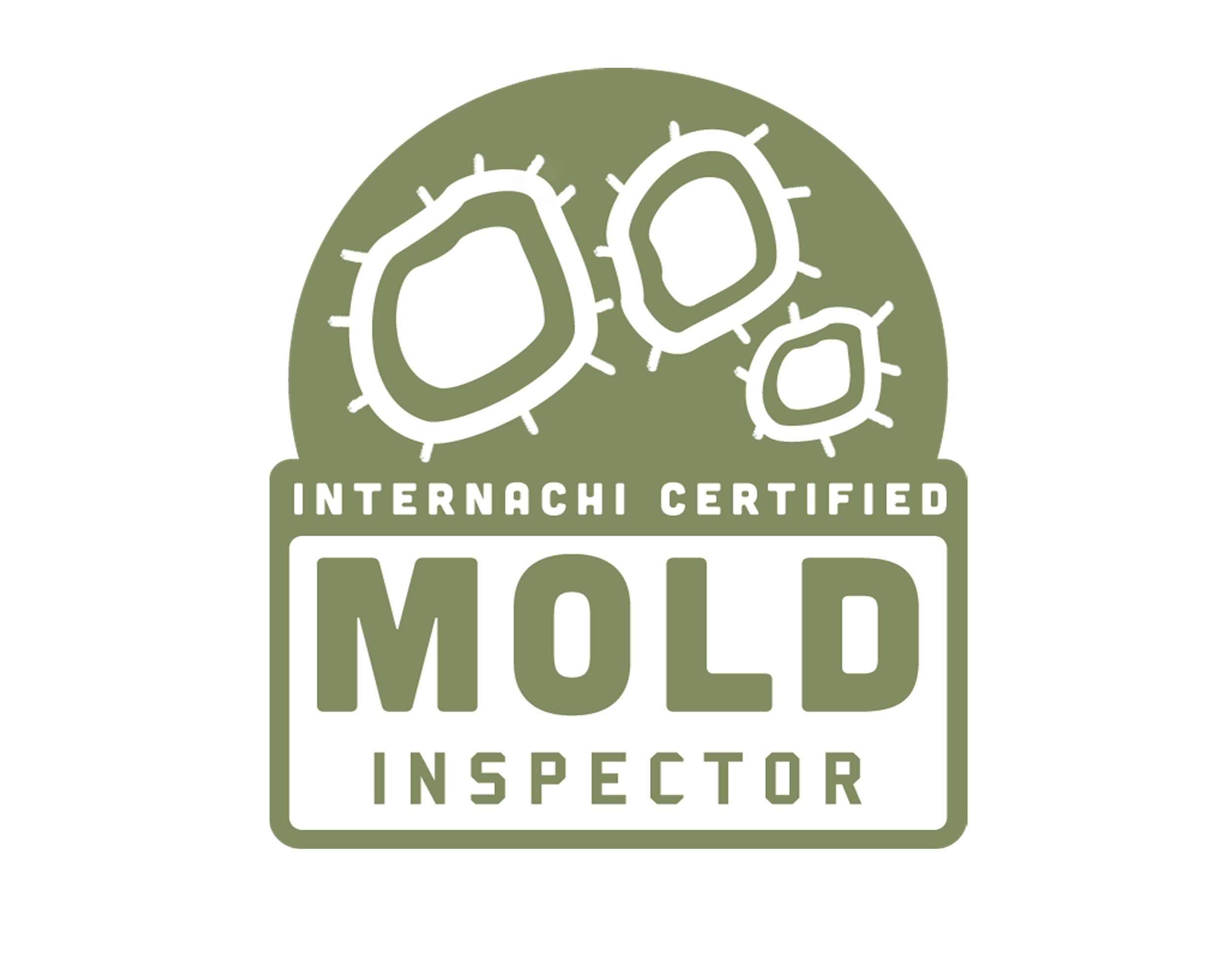 Mold Testing / Inspection