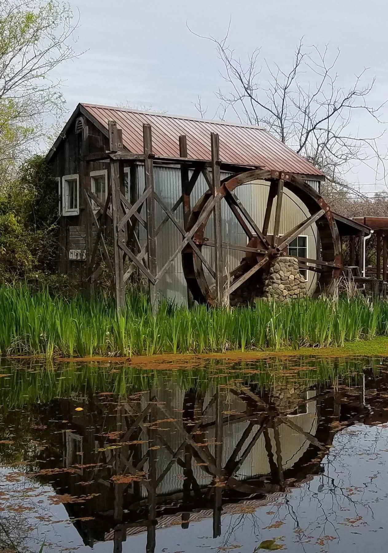 An old wooden watermill with a rusty metal roof reflecting in a pond, surrounded by green grass and trees with bare branches.