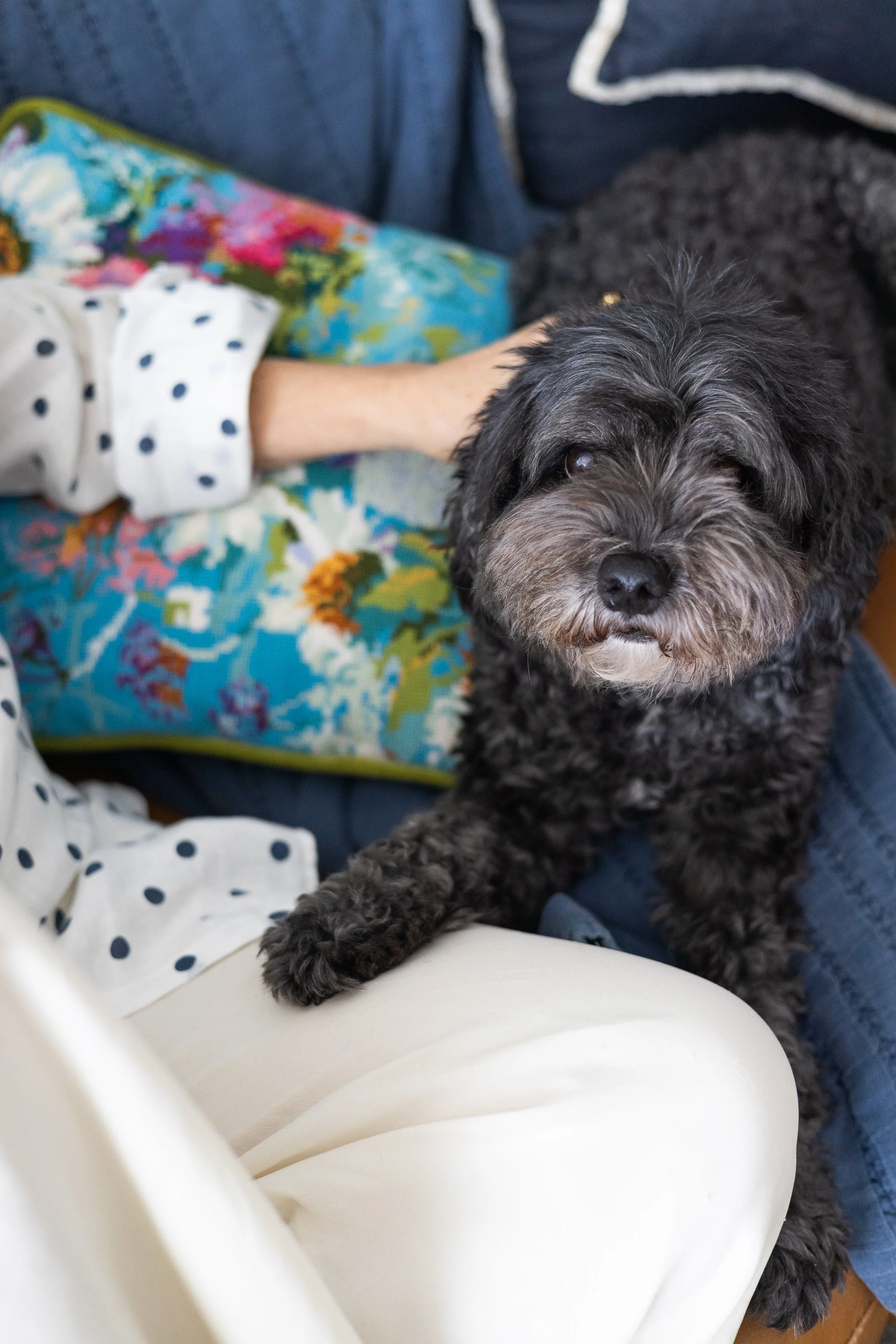 Joy Spot Shirt Socials-2.jpg