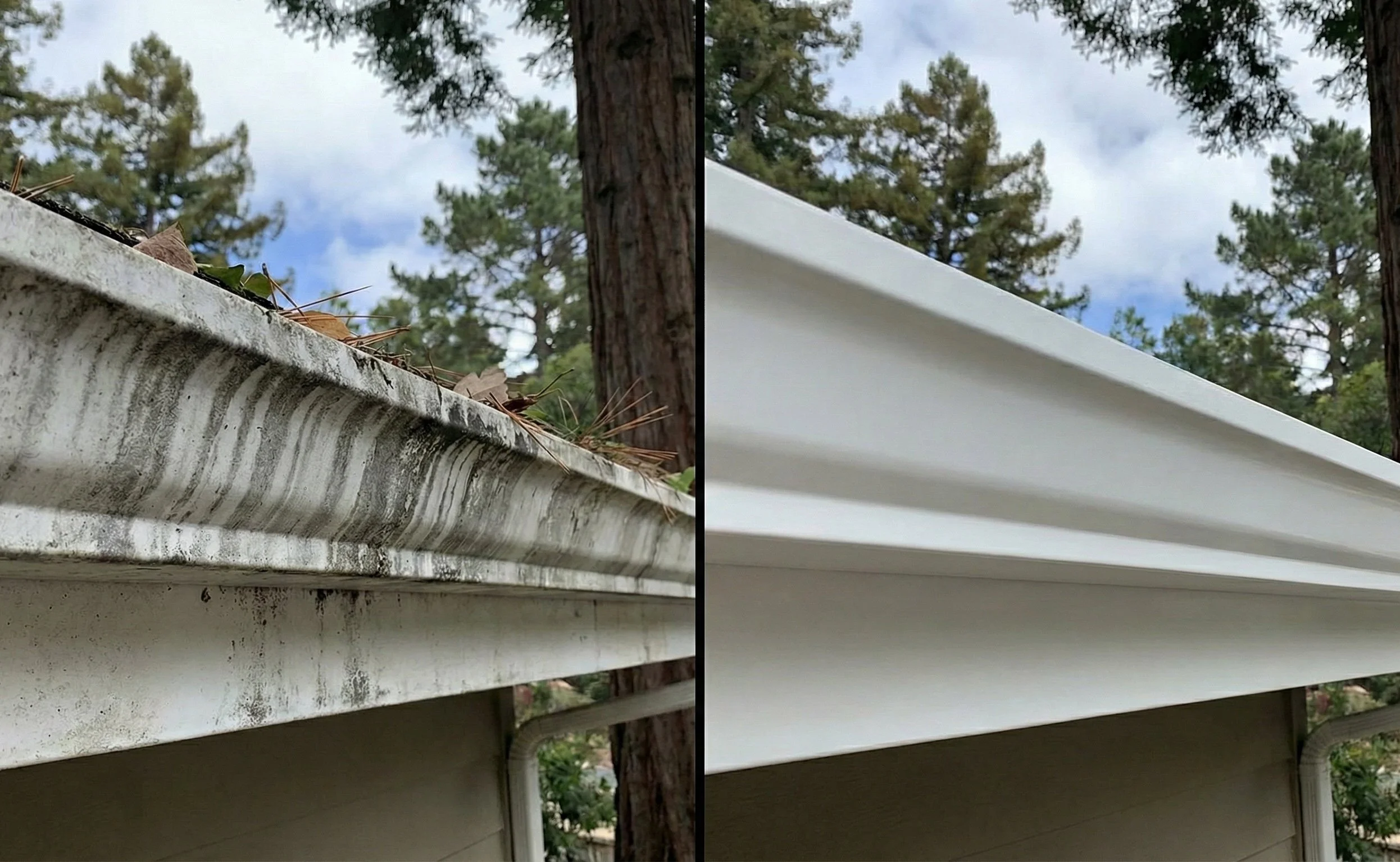 Gutter cleaning Miami Florida.jpg