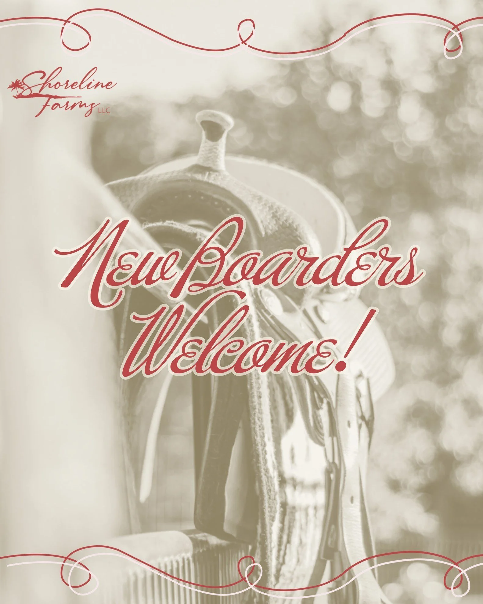 Shoreline Farms is now accepting new boarders! 🐴
We offer a full size dressage court, jumping arena, multiple grass turnouts, and amazing access to the local More Mesa trails.

Our boarding packages are available on our website. Call or email to sch