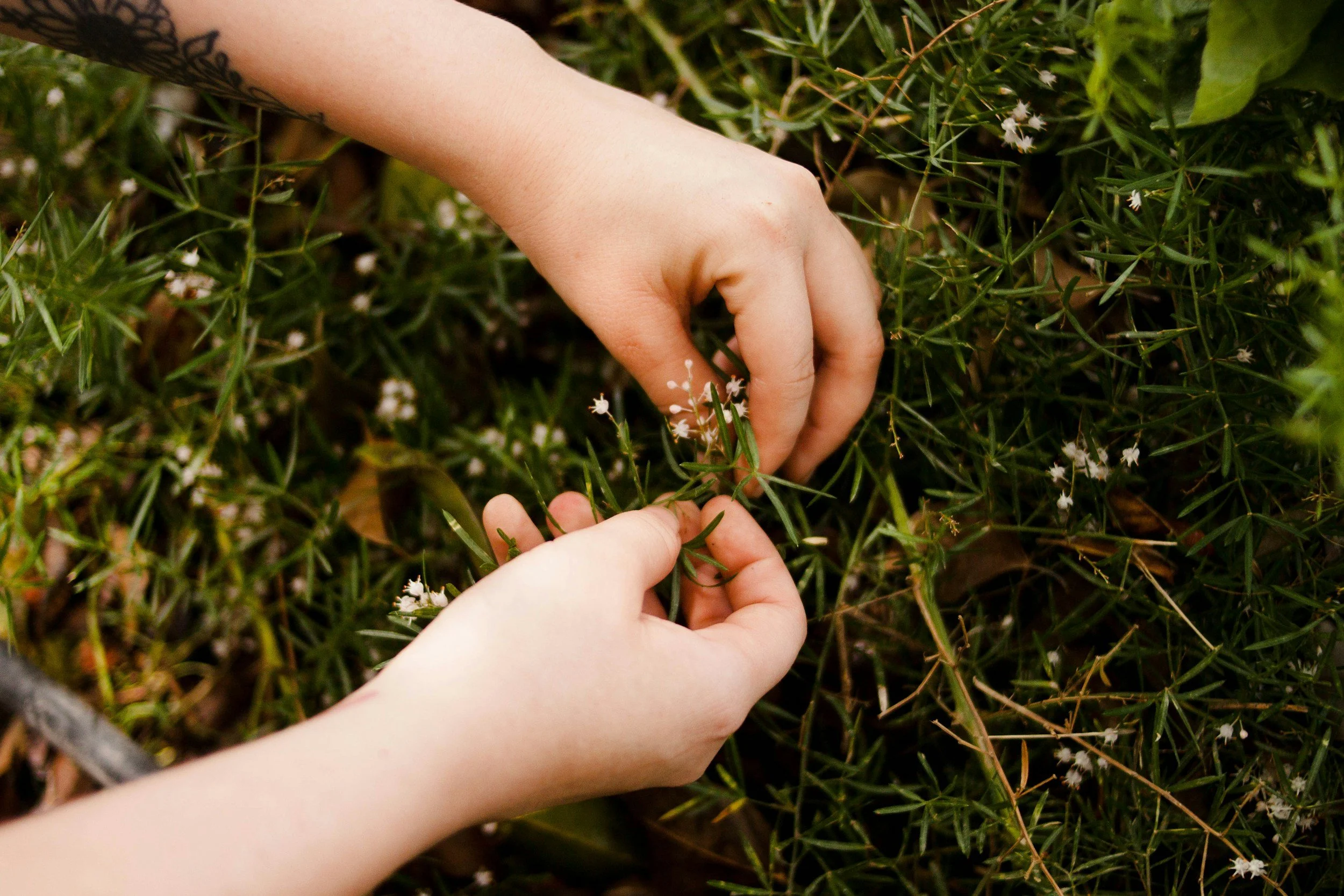 Forest School or Co-op, what’s the difference?