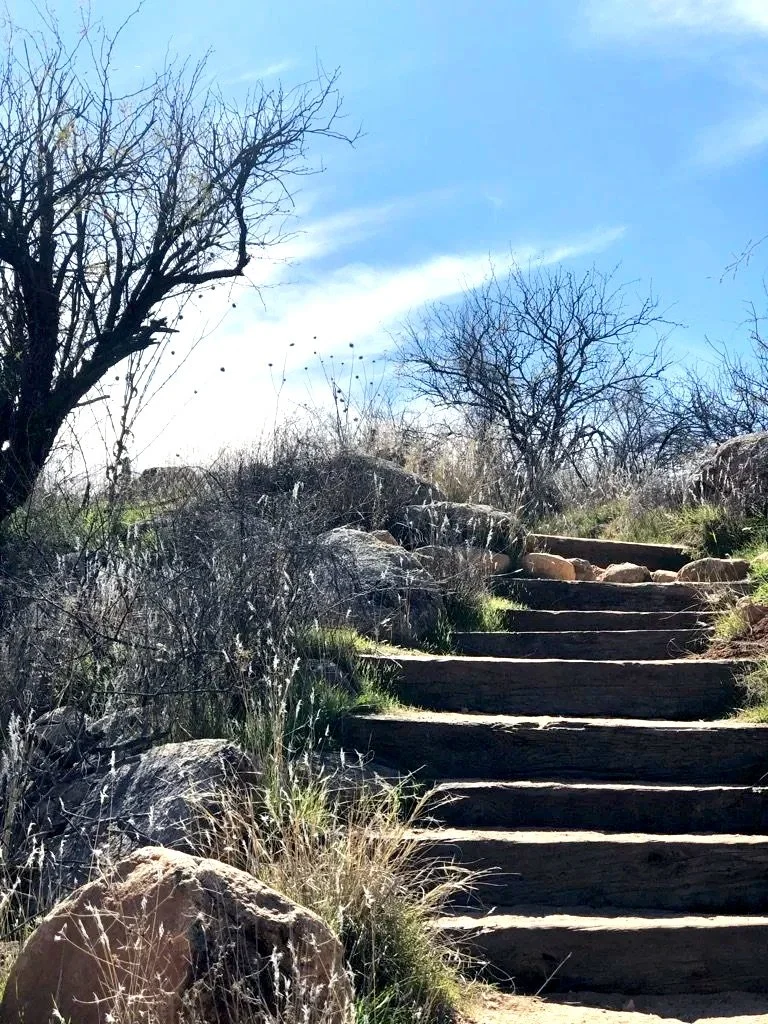 Wooden outdoor stairs ascending through dry grass and rocks, with leafless trees and a blue sky in the background.