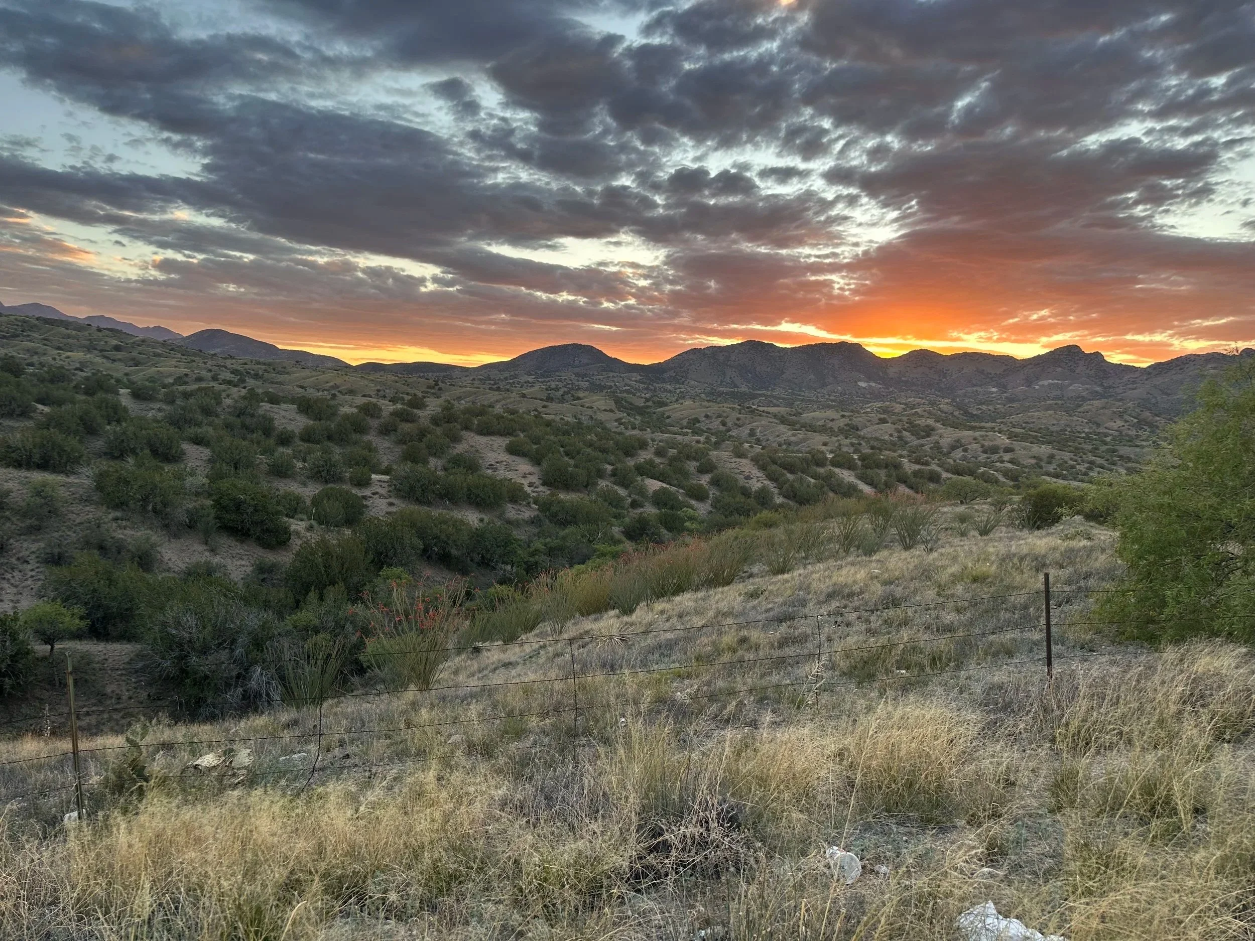 Sun setting over Arizona desert landscape with mountains. Photo by Amanda Gormley