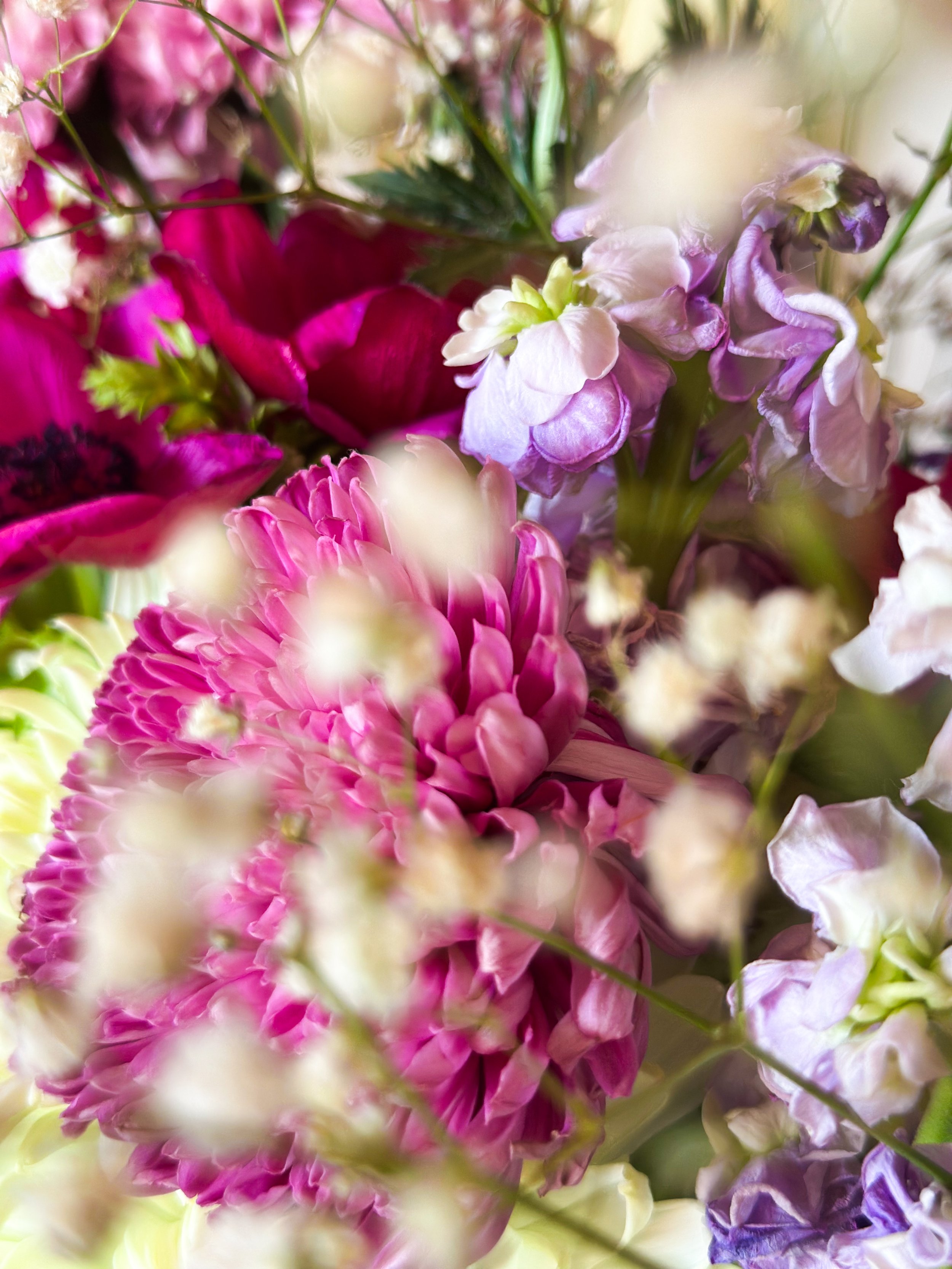 Close-up of a colorful bouquet of flowers, including pink, purple, and white blossoms with green leaves.