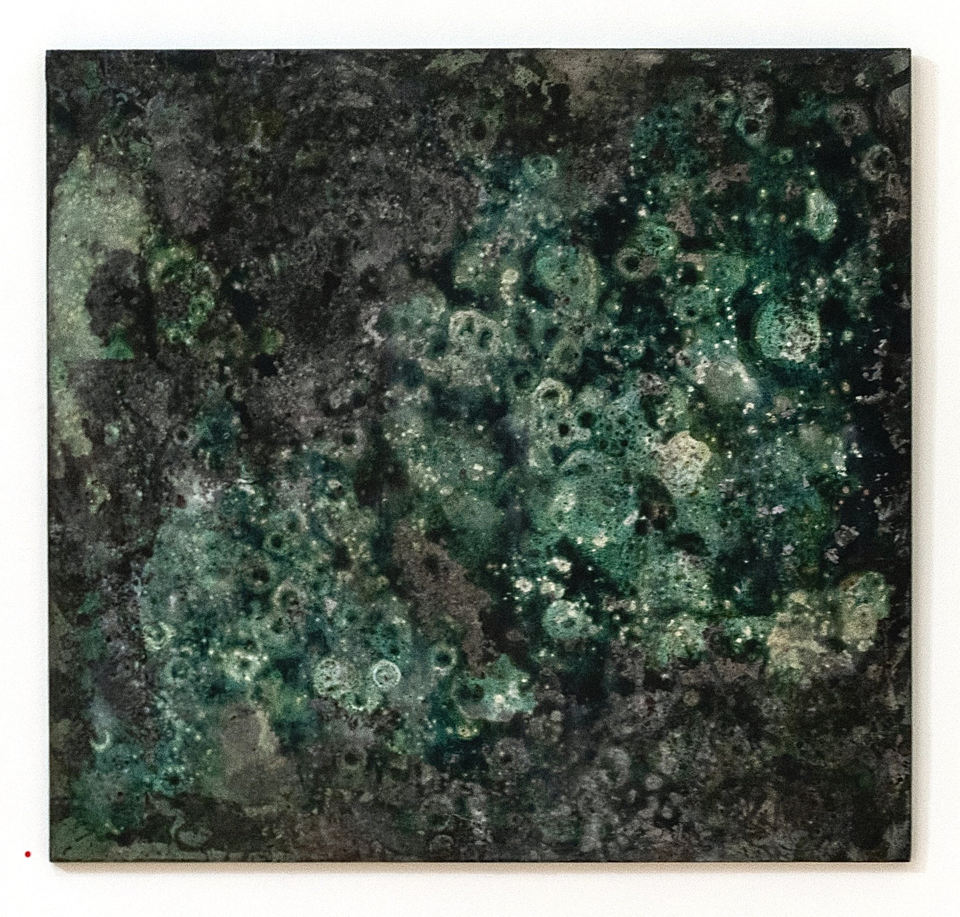 "Bottle Rot" / Charcoal, High Flow Acrylic, Bubbles, Pearl Ex Powder on Scrap Wood / 32" X 30" / 2026
