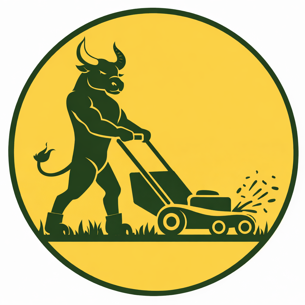 Clean up & Lawn Care Service