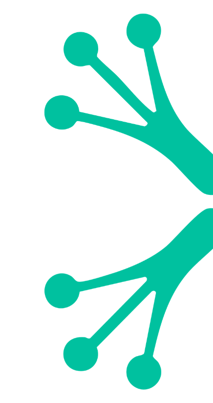Abstract design of symmetrical branching structures resembling a frog foot. Brand illustration belonging to GlassFrog.
