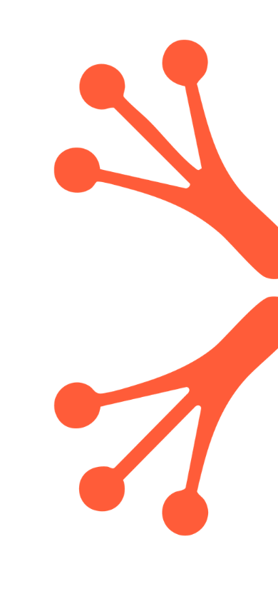 A stylized graphic of symmetrical branching structures resembling a frog foot. Brand illustration belonging to GlassFrog.