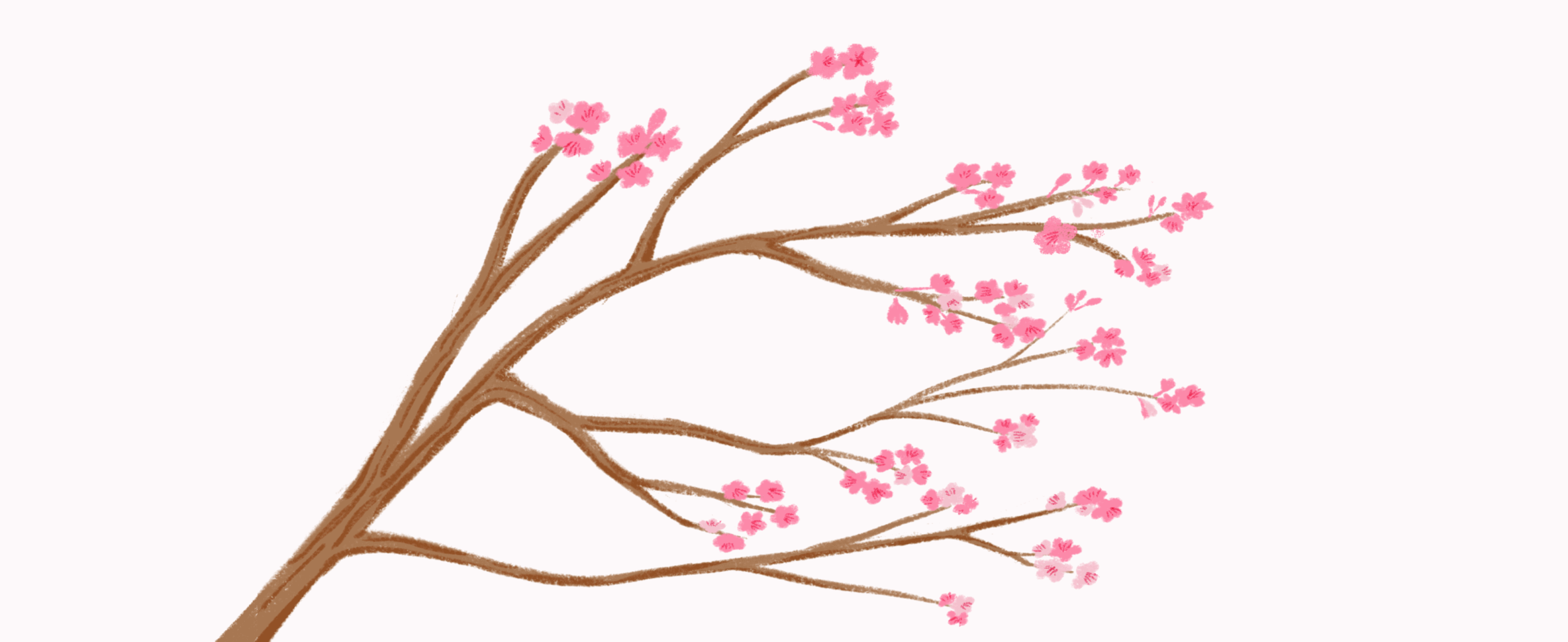 未命名作品 (1).gif