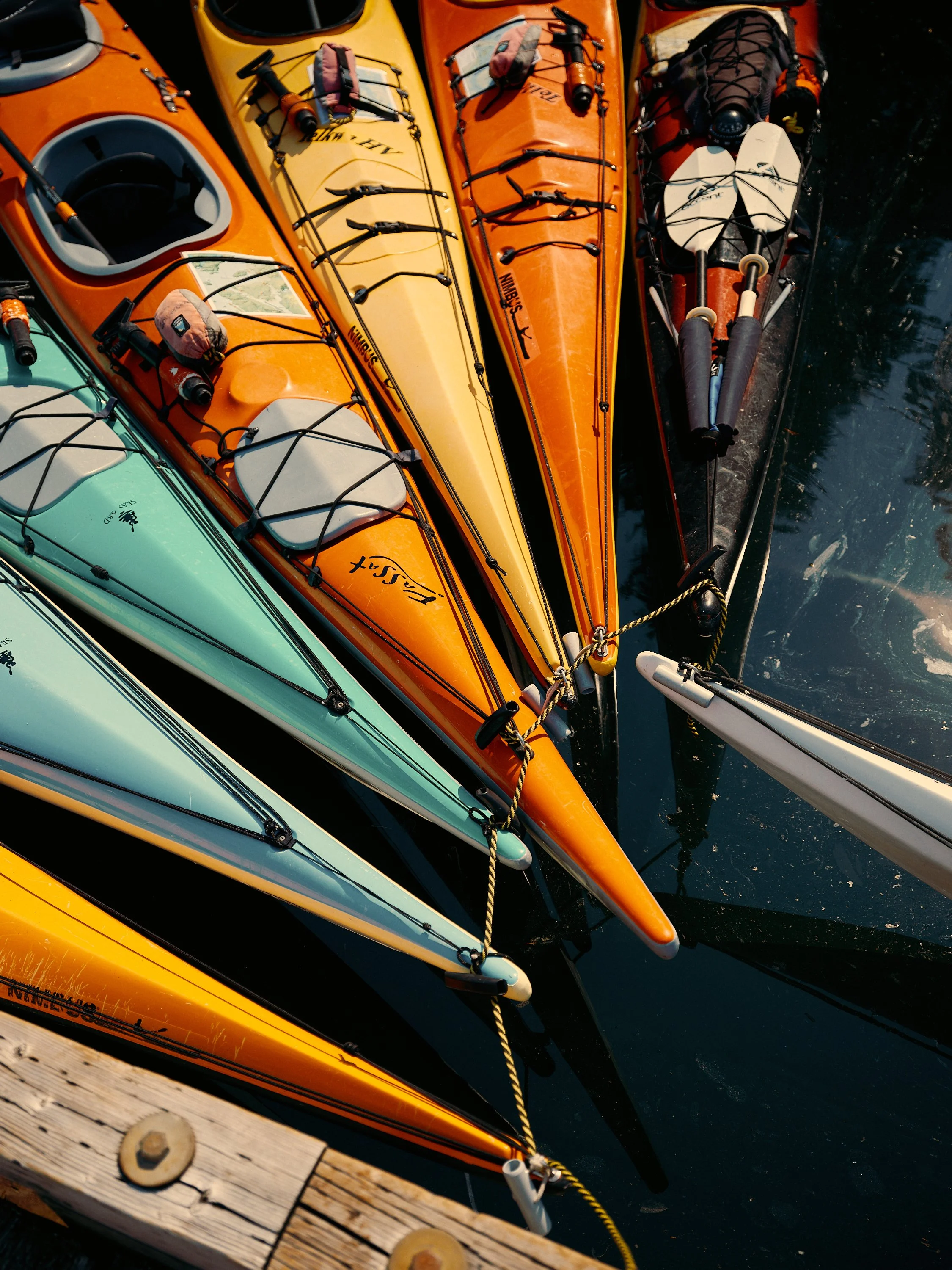 Multiple colorful kayaks lined up at a dock, with paddles secured on top, and the water nearby.