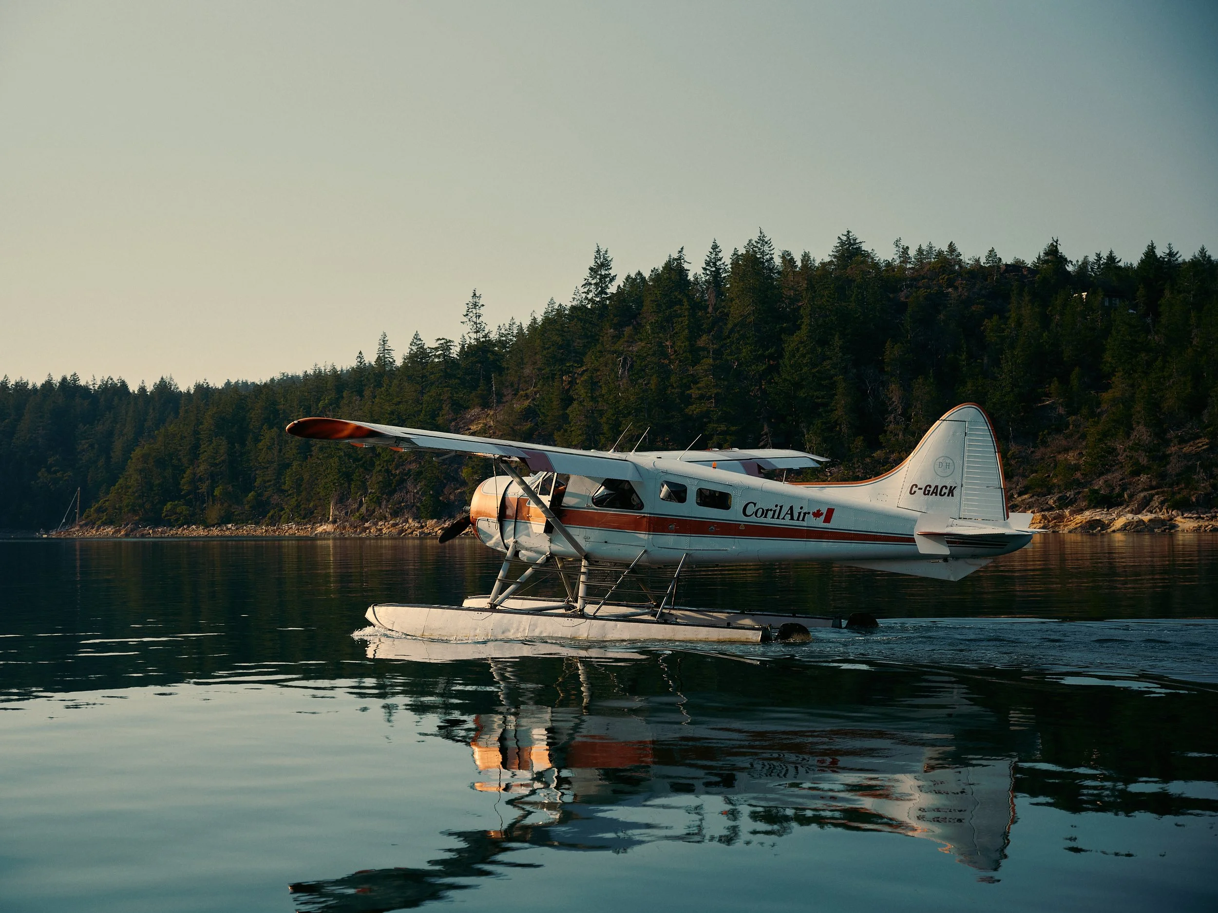 Seaplane floating on calm water near a shoreline with dense evergreen trees and hills in the background during daytime.