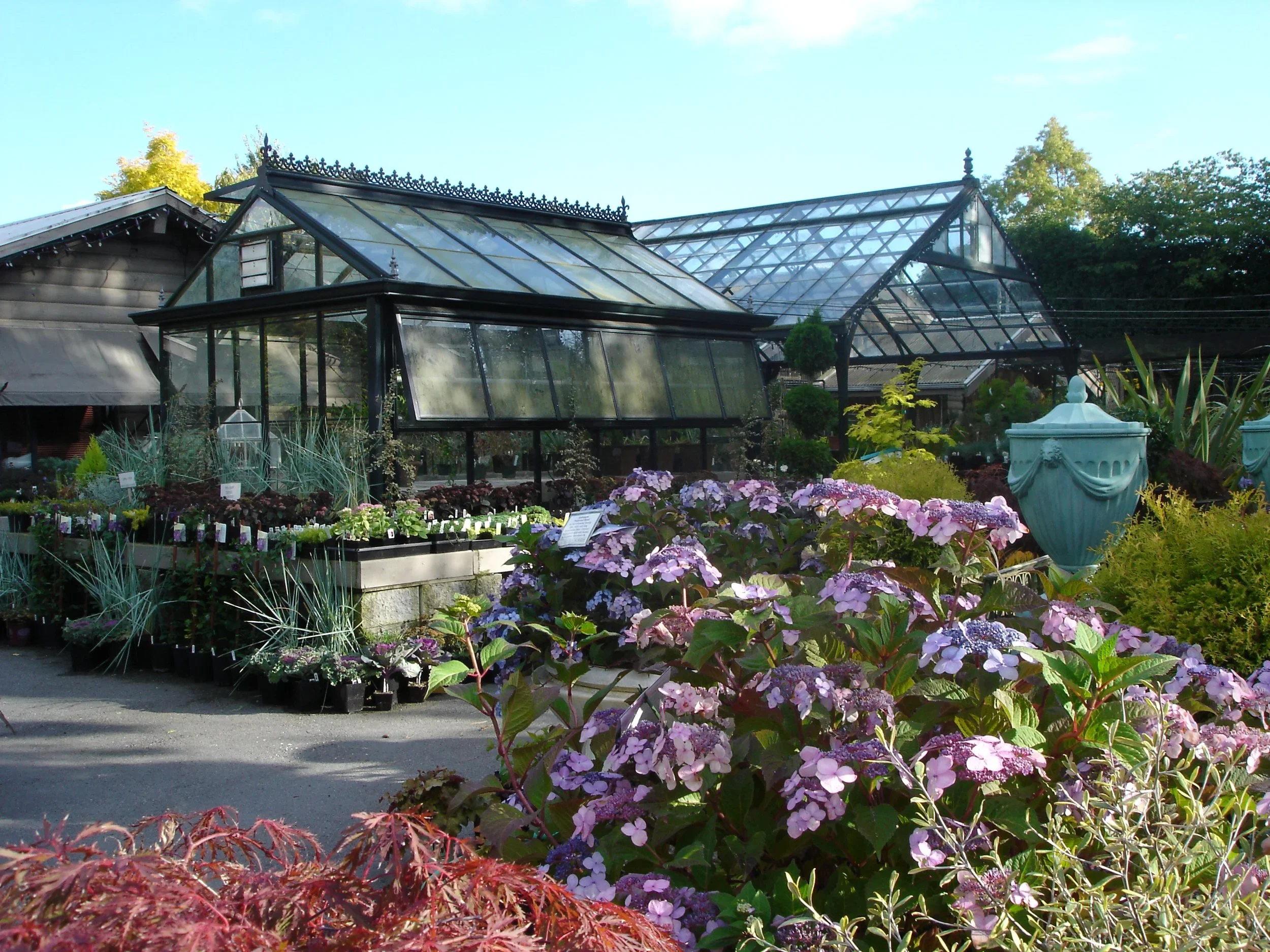 A greenhouse with glass panels, surrounded by colorful flowers and lush greenery, in bright daylight.