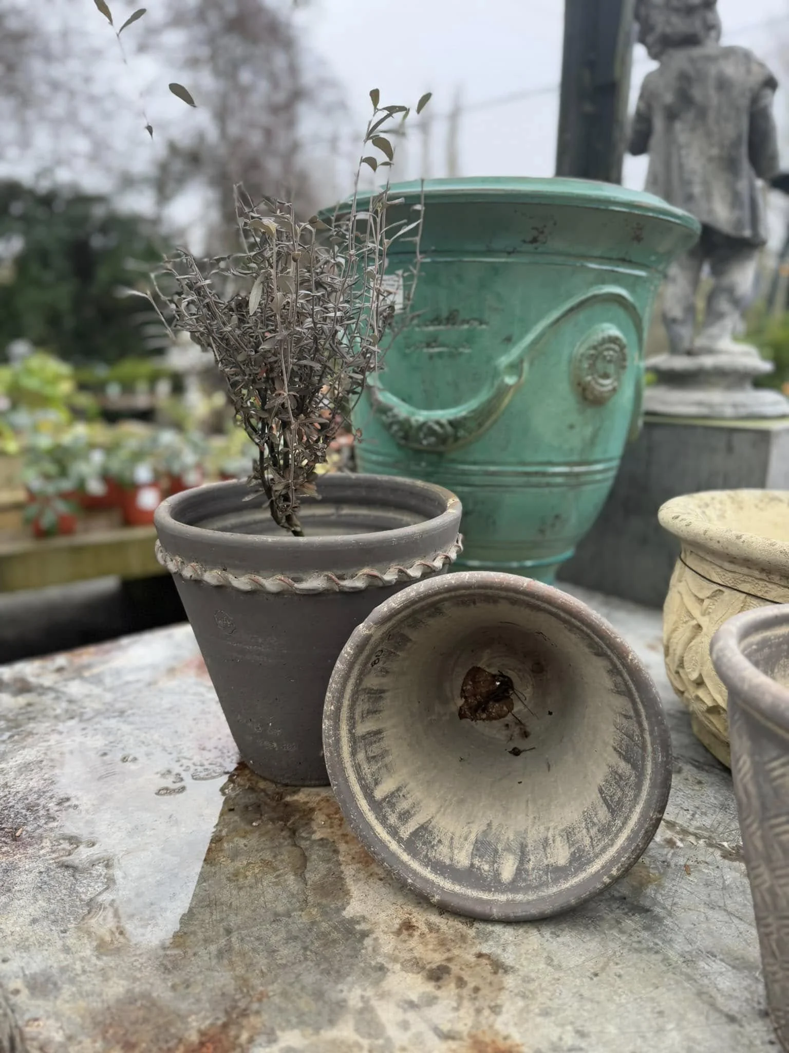 Close-up of several empty flowerpots, some with dried plants or soil, on a weathered concrete surface outdoors.