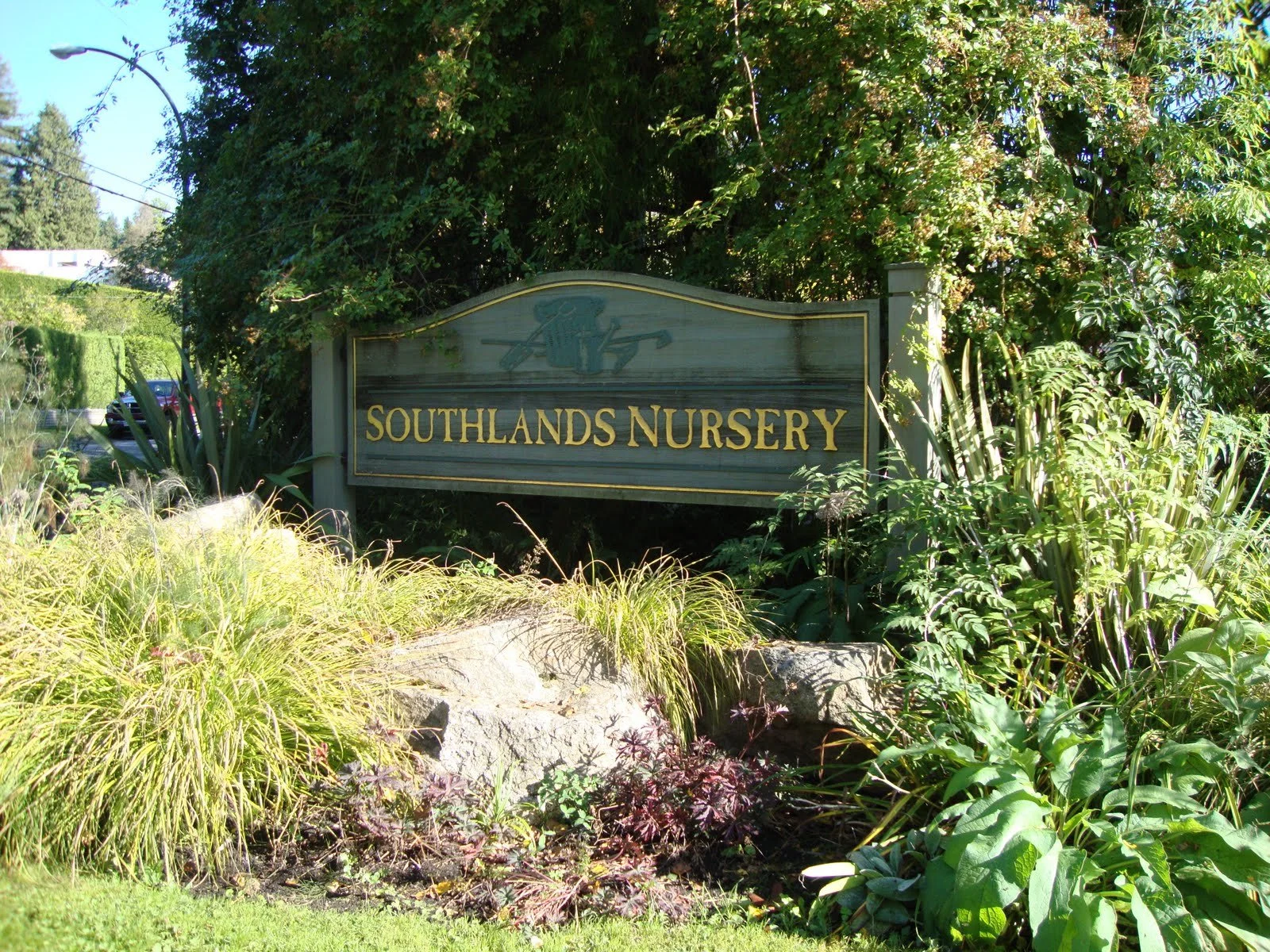 Sign for Southlands Nursery surrounded by various green plants and foliage.