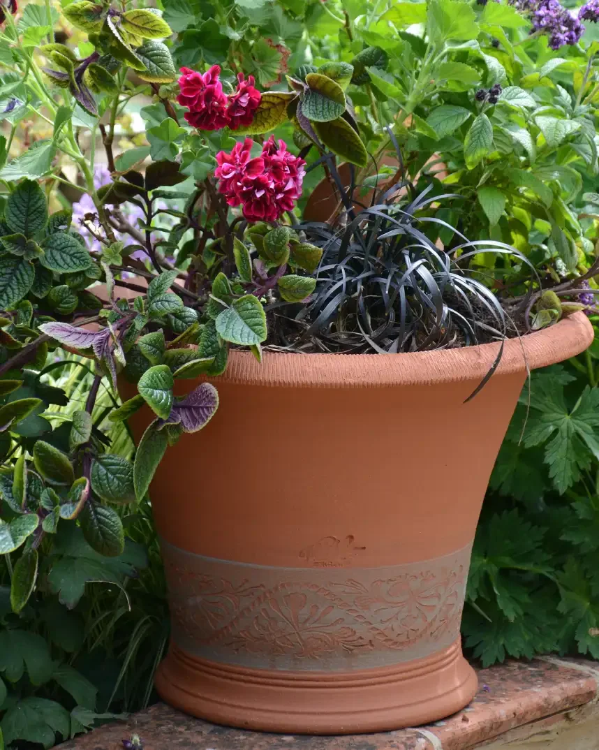 A large terracotta flower pot with intricate design, filled with various plants including pink flowers, purple flowers, and green foliage, sitting on a wooden surface with other green plants in the background.
