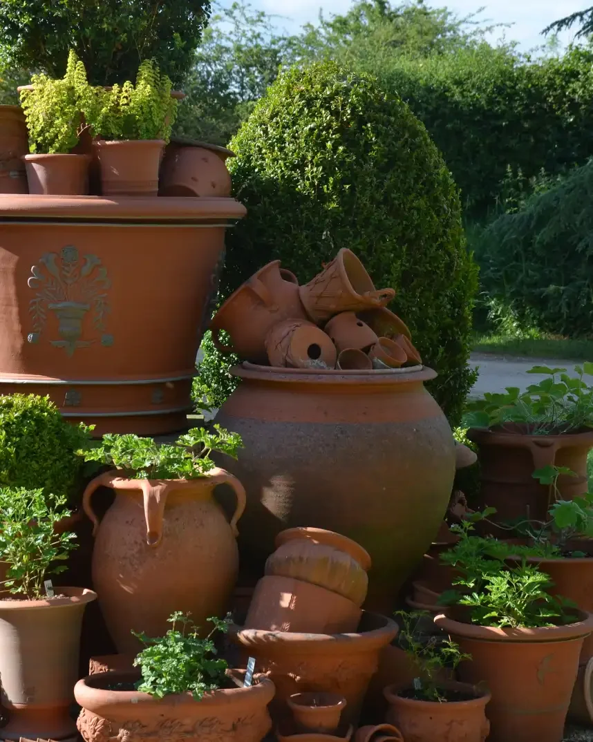 Various terracotta pots and planters, some with plants, stacked outdoors with greenery and bushes in the background.