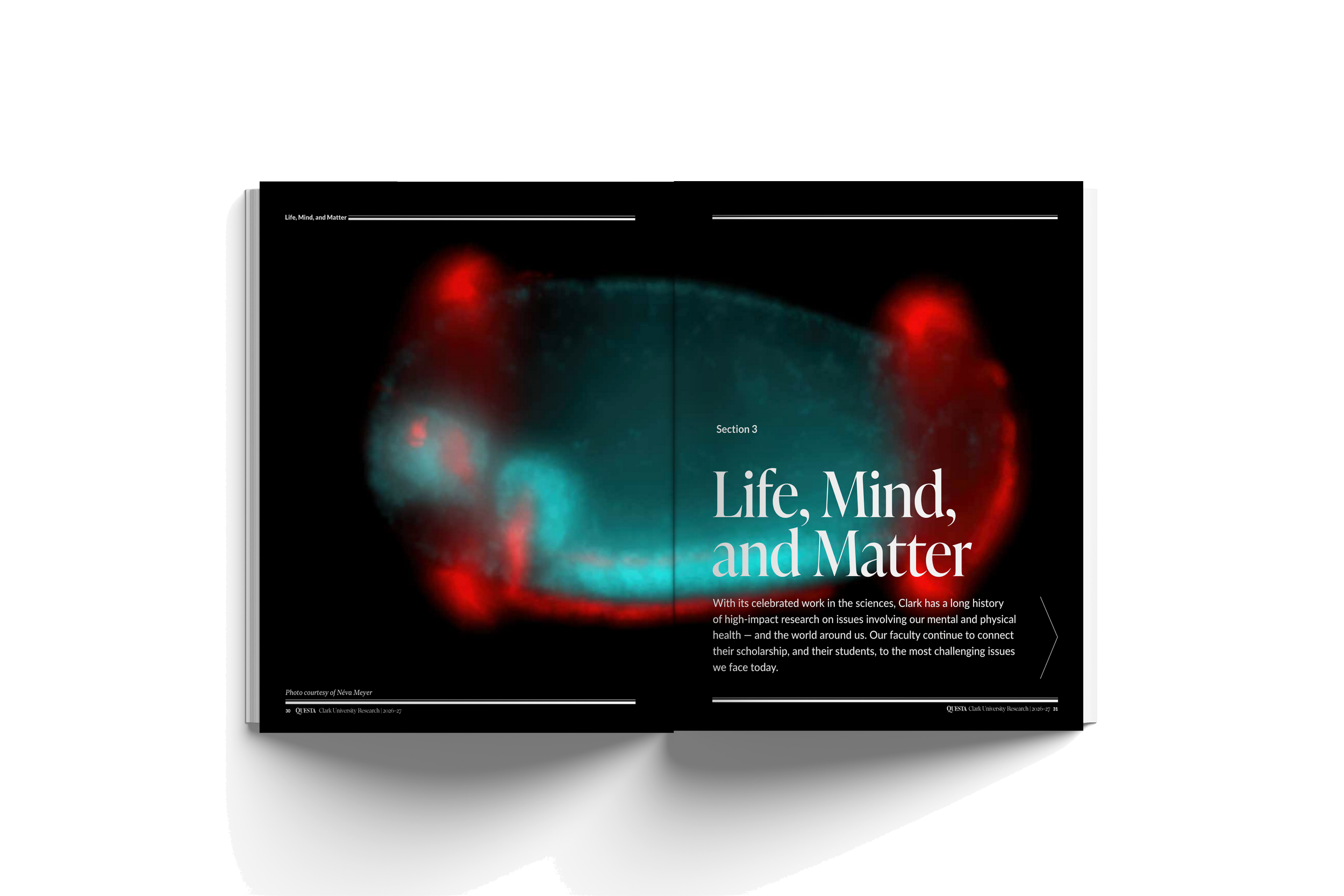 Clark-university-questa-magazine-2026-27-creativille-spreads-00016.png