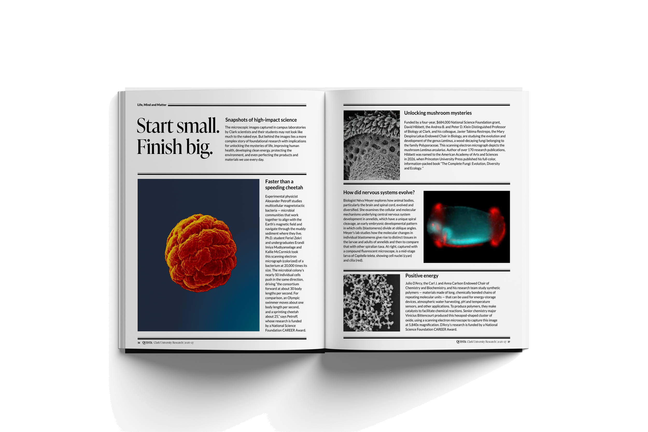 Clark-university-questa-magazine-2026-27-creativille-spreads-00019.png