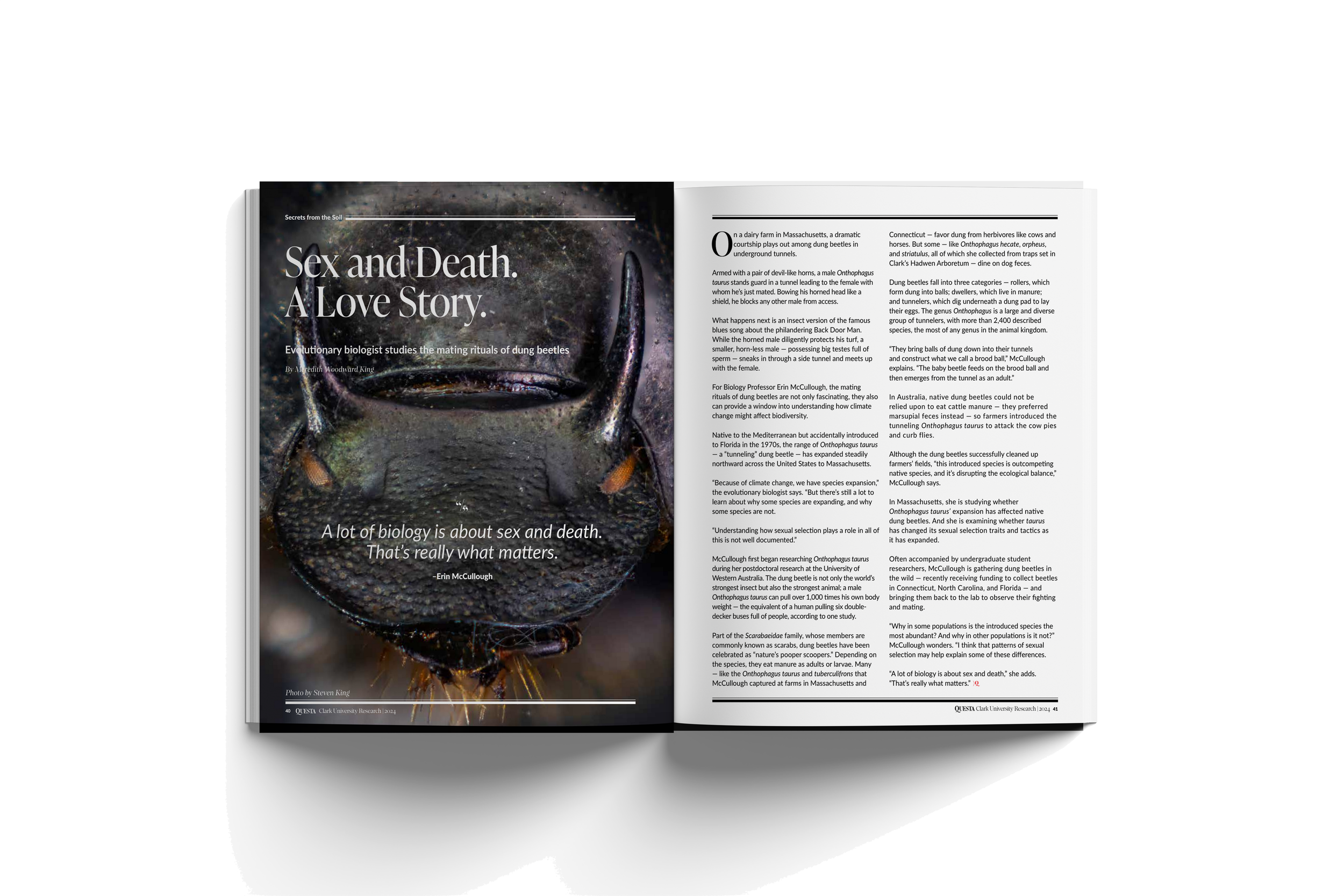 Open magazine featuring an article titled "Sex and Death. A Love Story." with a close-up photograph of a dung beetle on a black background. Text on the page states, "A lot of biology is about sex and death. That’s really what matters." by Erin McCull