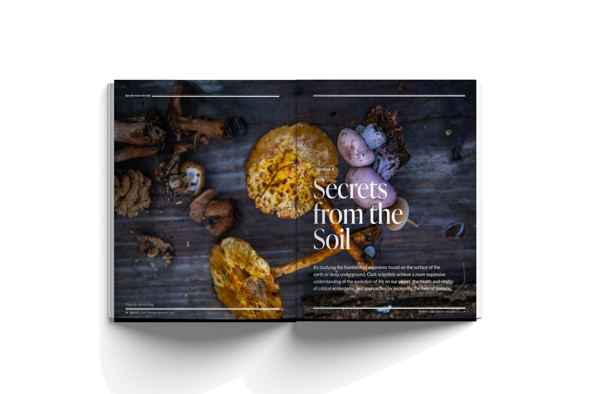 Open book showing a photograph of various fungi and mushrooms on a wooden surface, with the title "Secrets from the Soil" and the caption "Section 4".