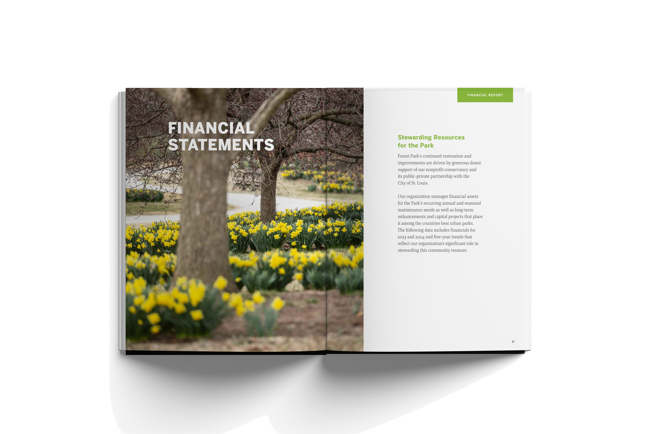Open booklet showing a page with the title 'Financial Statements' on a background of blooming yellow flowers and trees in a park.