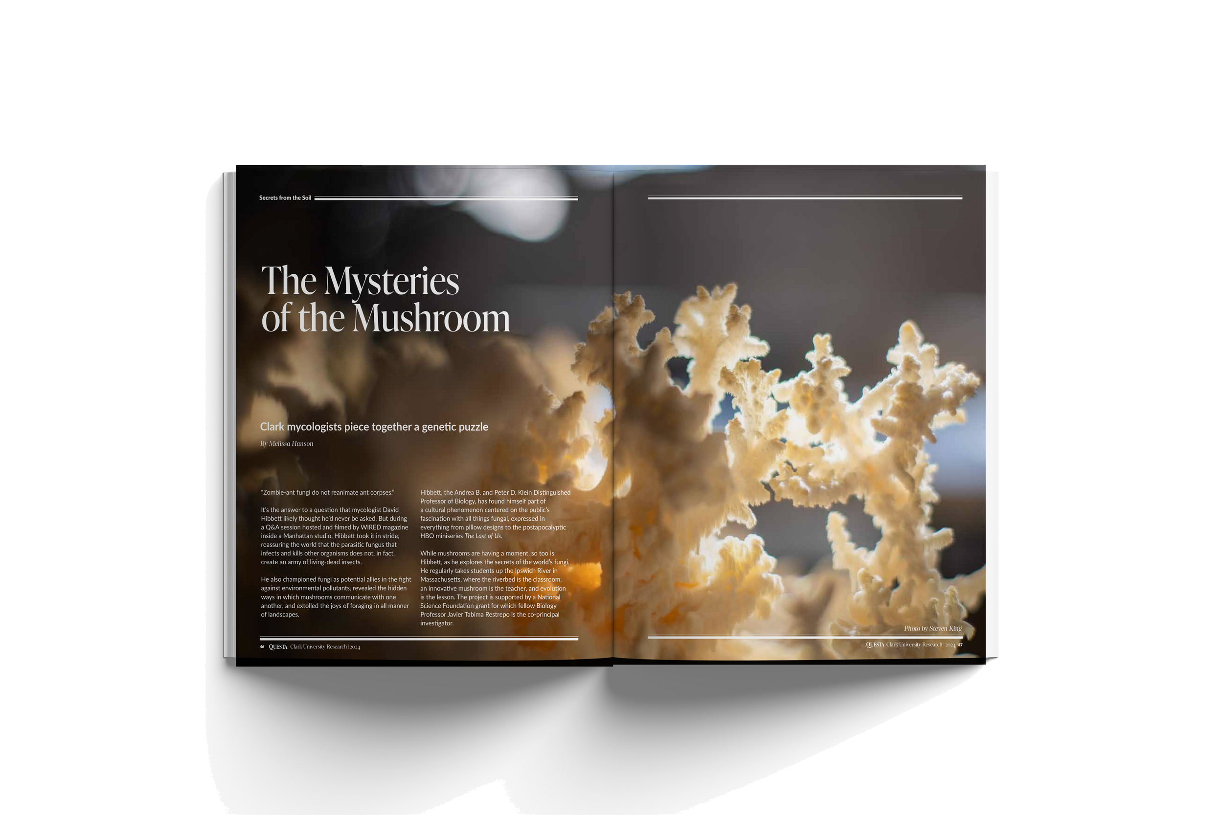 Open magazine spread featuring an article titled 'The Mysteries of the Mushroom,' with a close-up image of a white coral-like mushroom fungus on the right page, and text on the left page discussing mycologists and mushroom research.