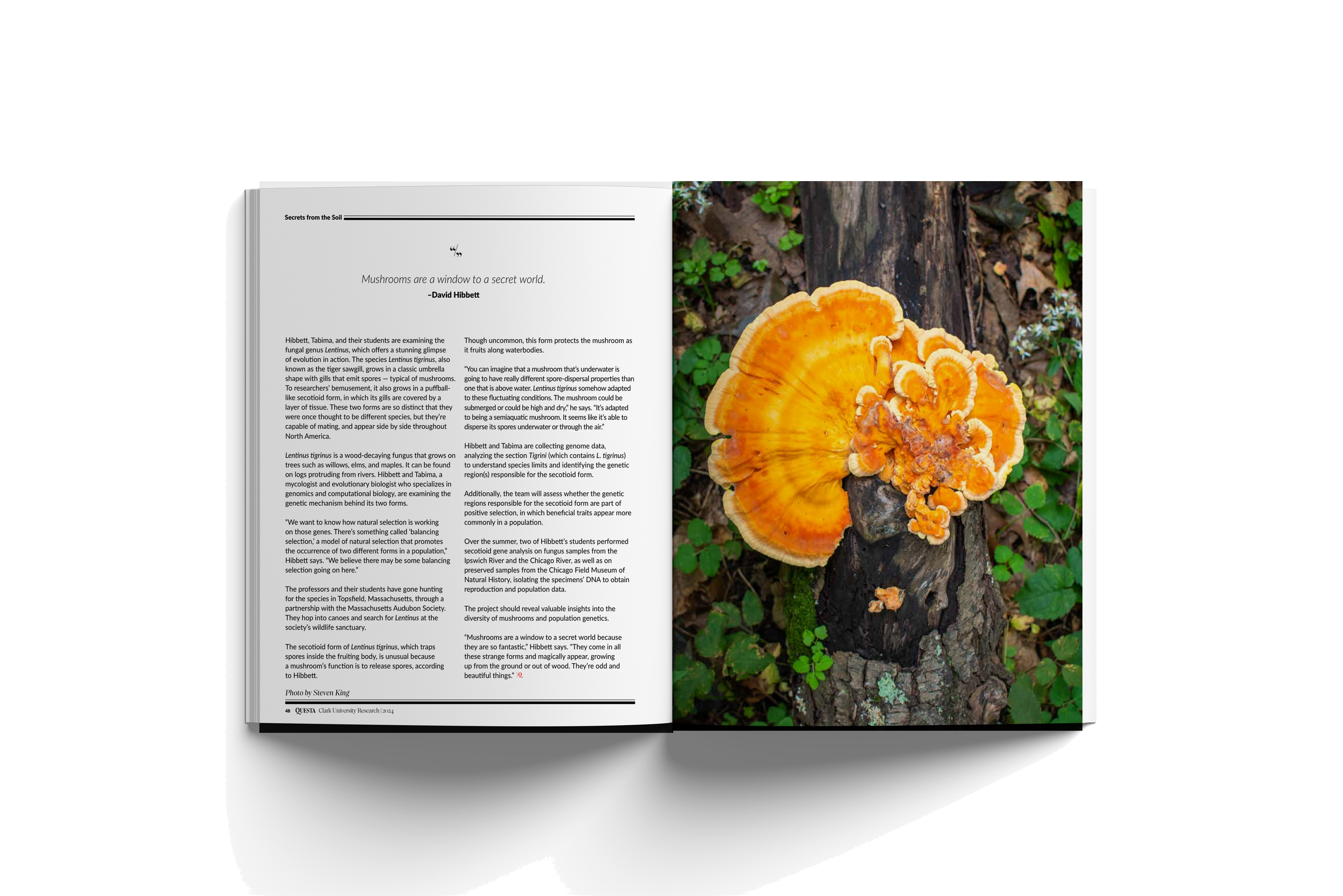 Open magazine showing on the left page a scientific article about fungi and on the right page a close-up photograph of orange mushrooms growing on a decayed log in a forest.