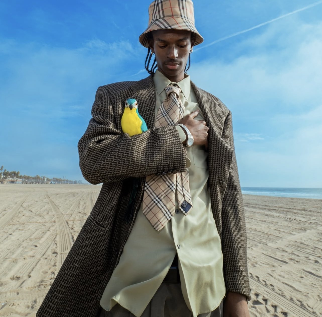 A person wearing a checkered coat, beige pants, a plaid tie, and a bucket hat, standing on the beach with a colorful bird perched on their chest.