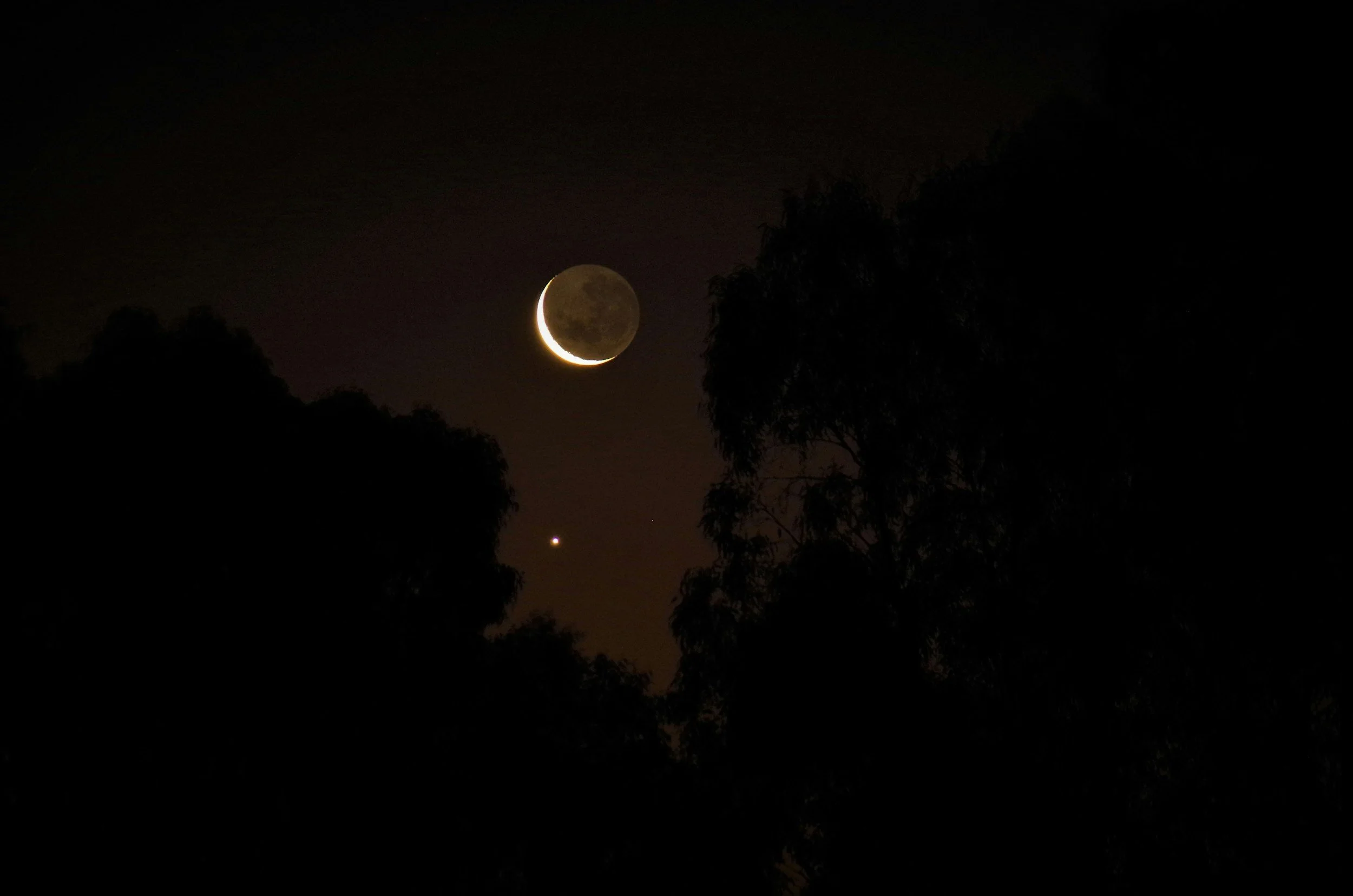 Night sky with a crescent moon and a bright planet or star, silhouettes of trees in the foreground.
