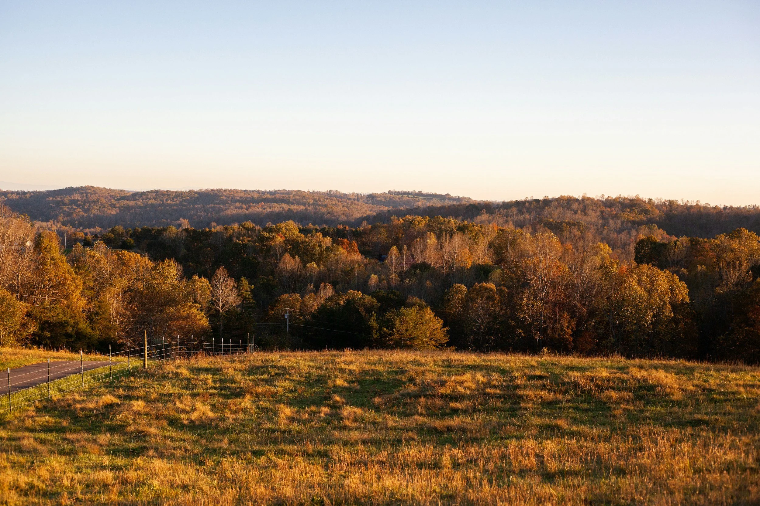 A scenic view of a rolling landscape with grassy fields in the foreground, a forested area with trees showing autumn colors, and distant hills under a clear sky
