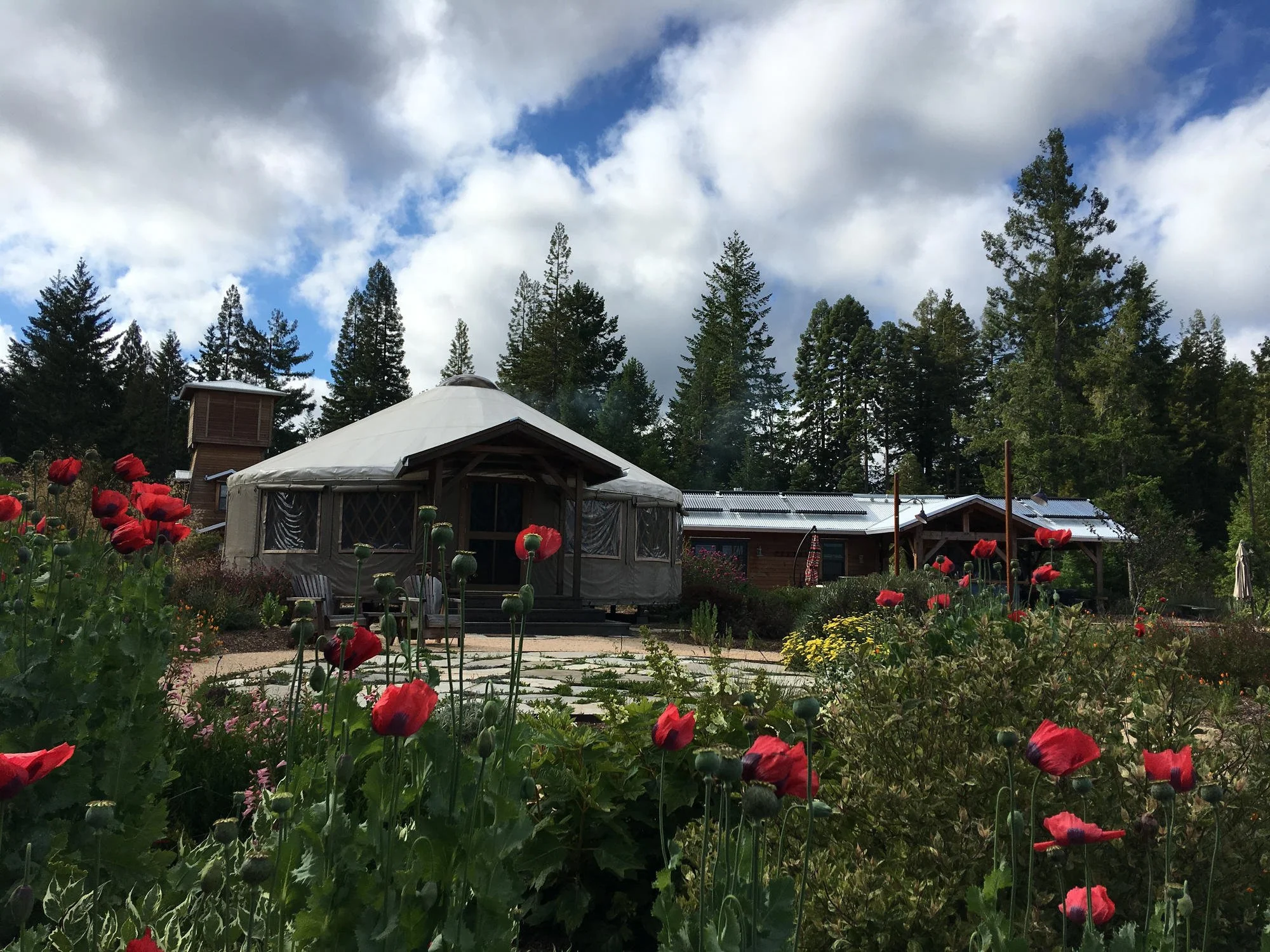 Poppies yurt and pool house_result.jpg