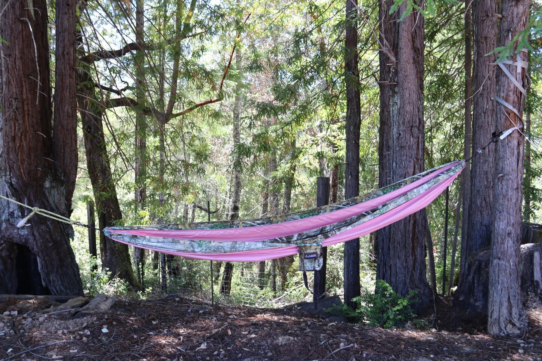1Solo hammock_result.jpg