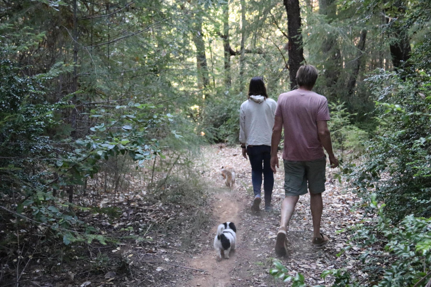 1Sam and chris hiking_result.jpg