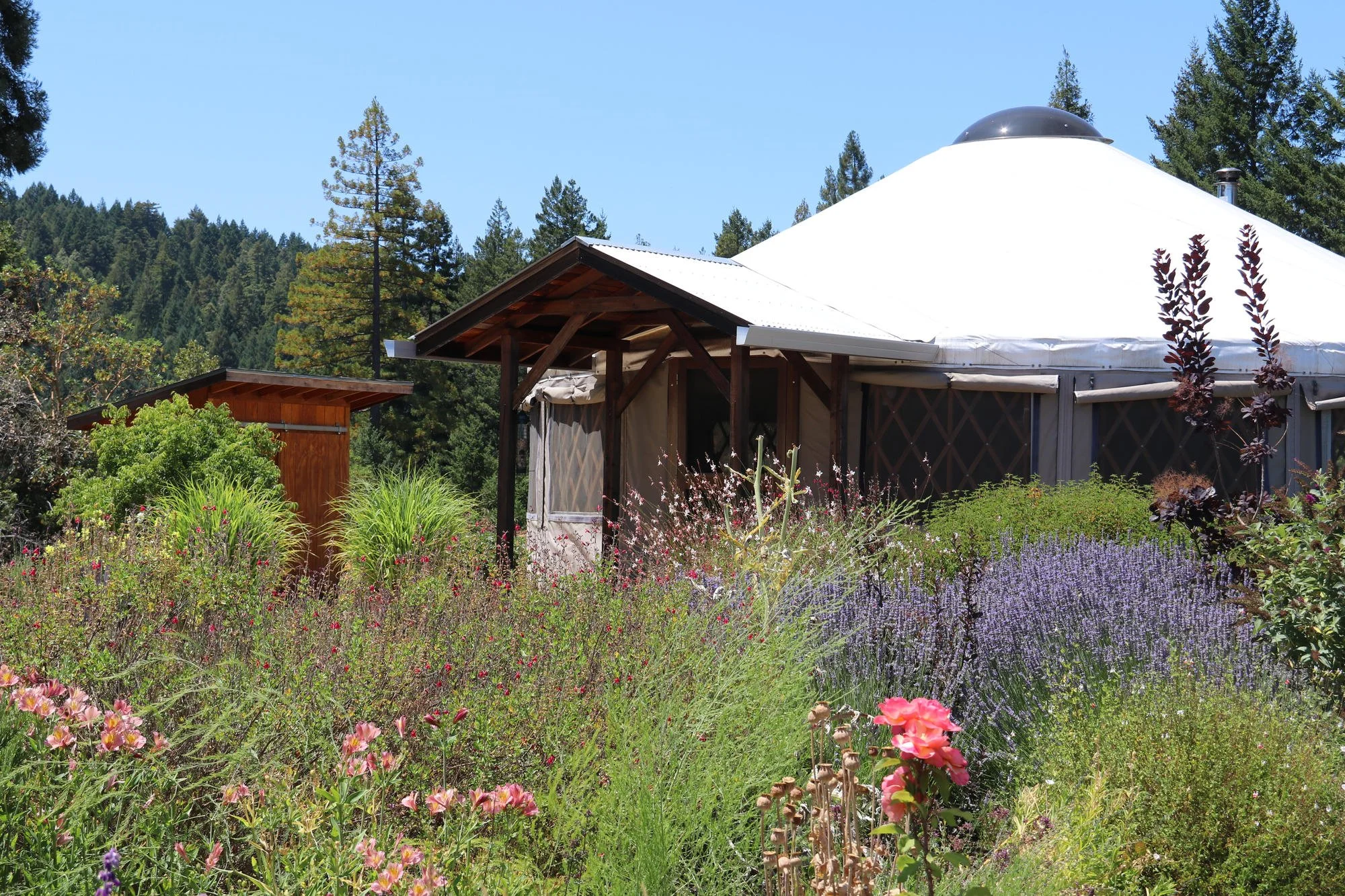The Yurt