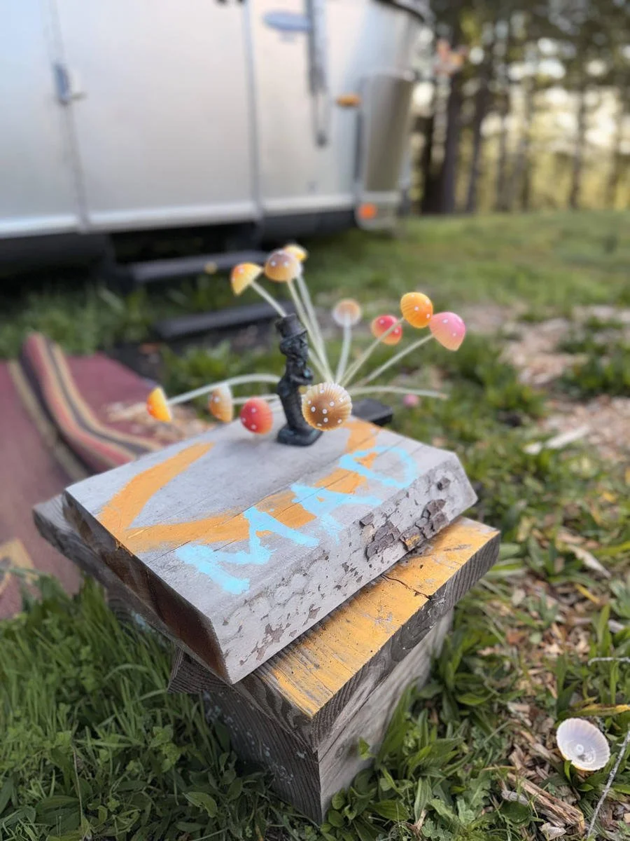 1Alice airstream art.jpg