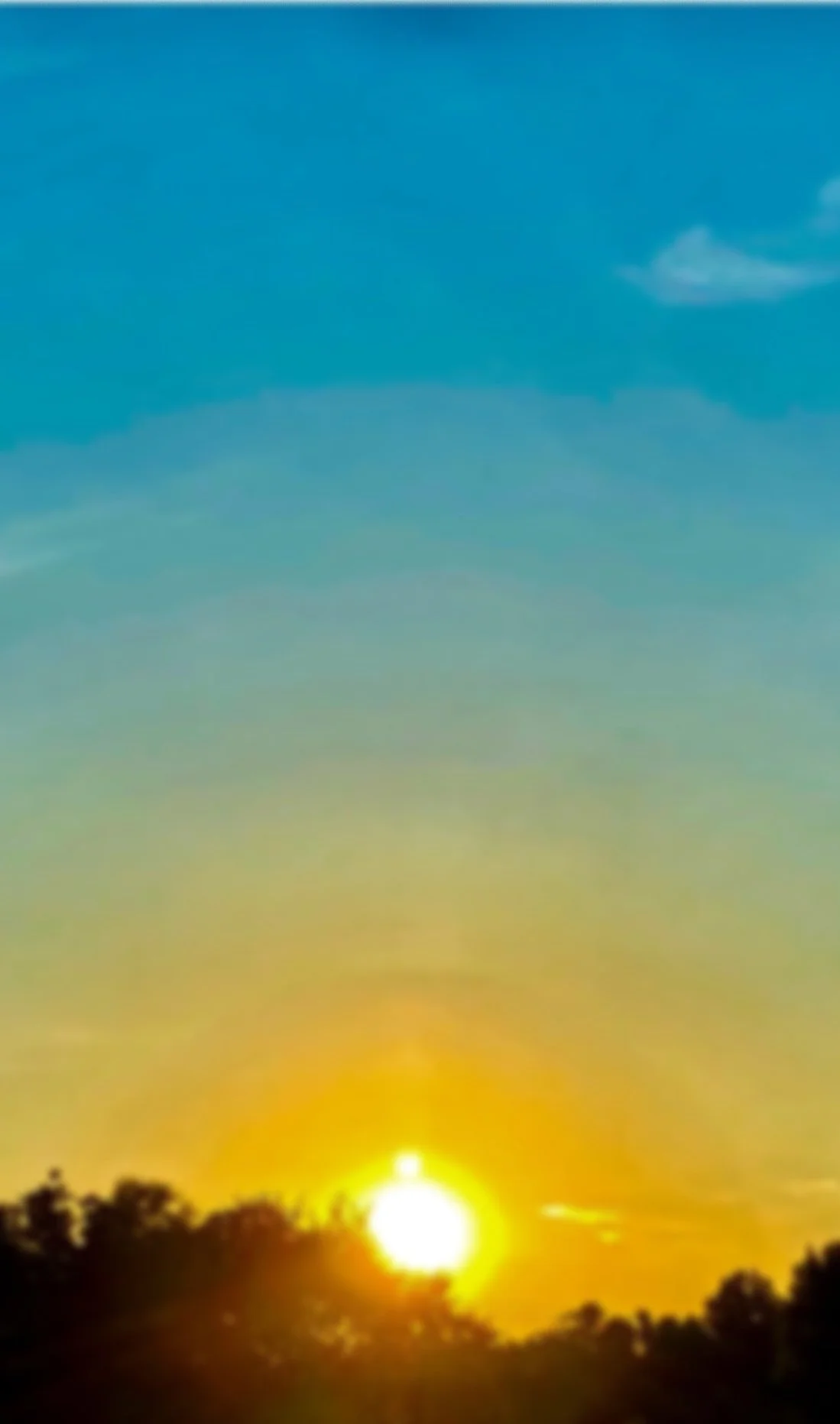 Sunset over a tree-lined horizon with a yellow-orange sky and some clouds.