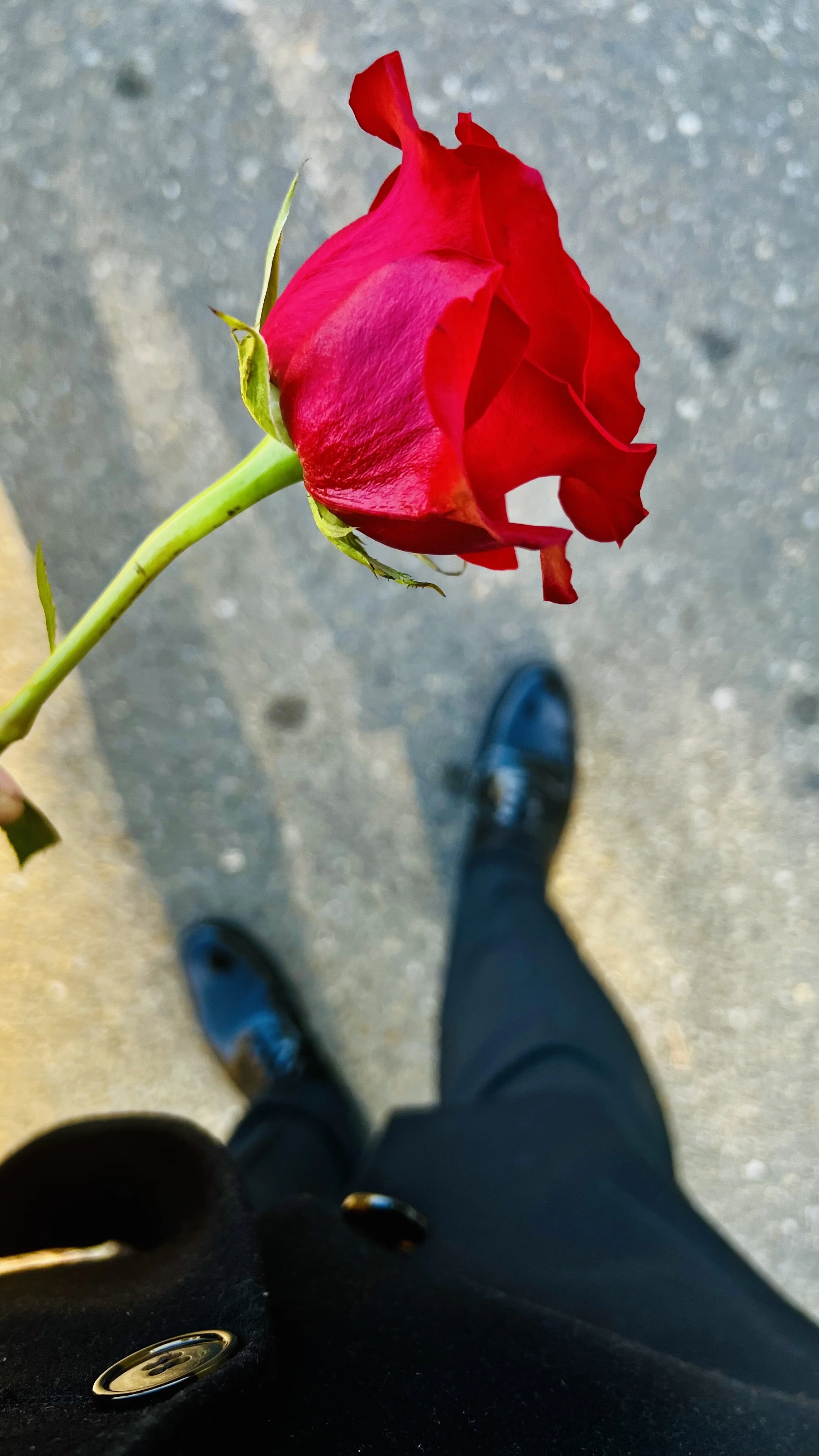 Person standing on a concrete sidewalk holding a red rose, which is visible from a top-down view.