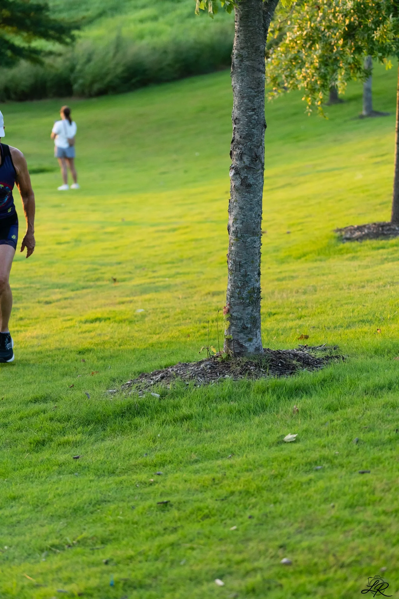 Green grassy park with trees, a person jogging in running gear on the left, and another person in a white shirt and shorts standing farther in the background.