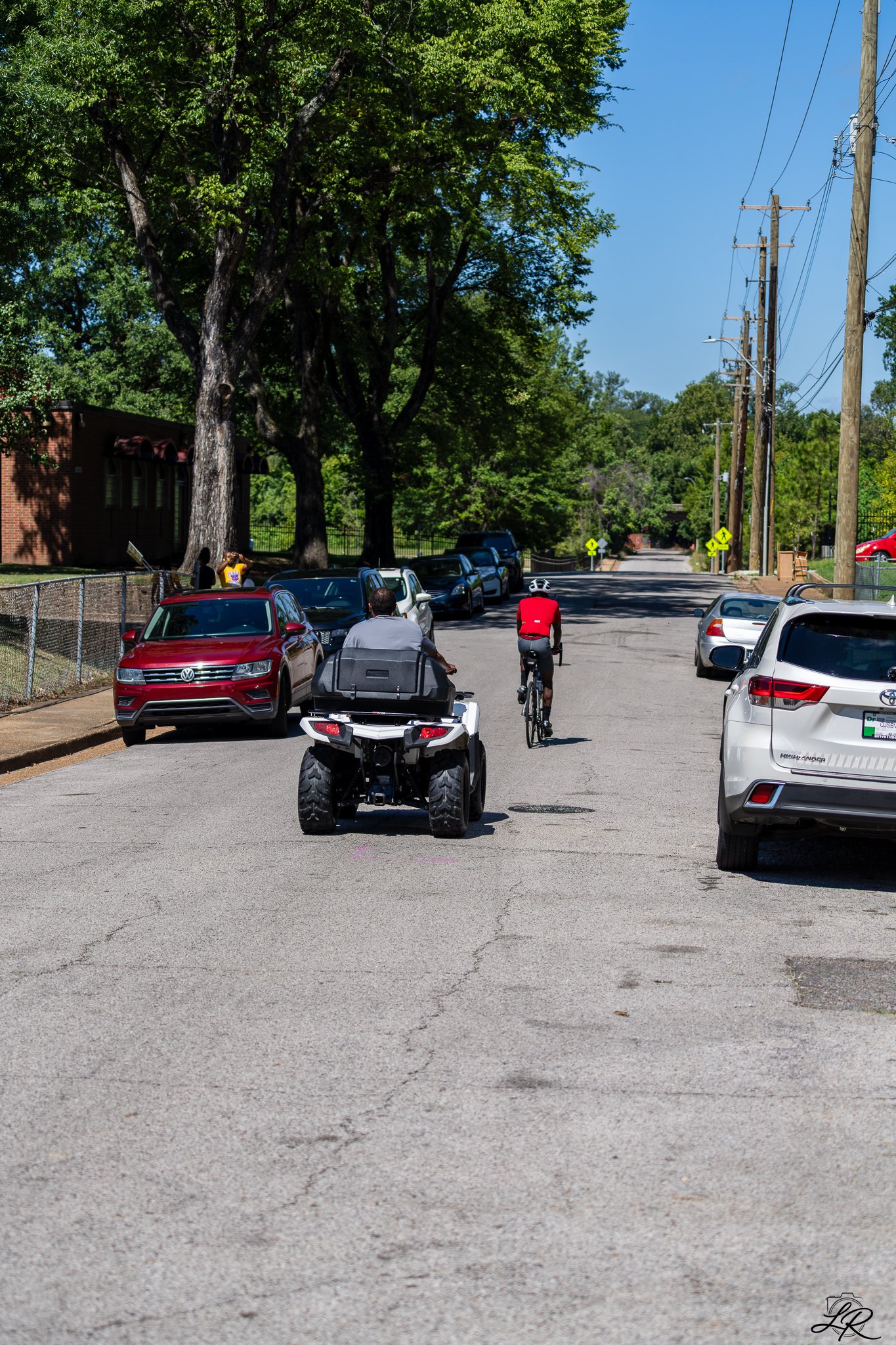 A street scene with trees, parked cars, traffic signs, and a person riding a bicycle in daylight.