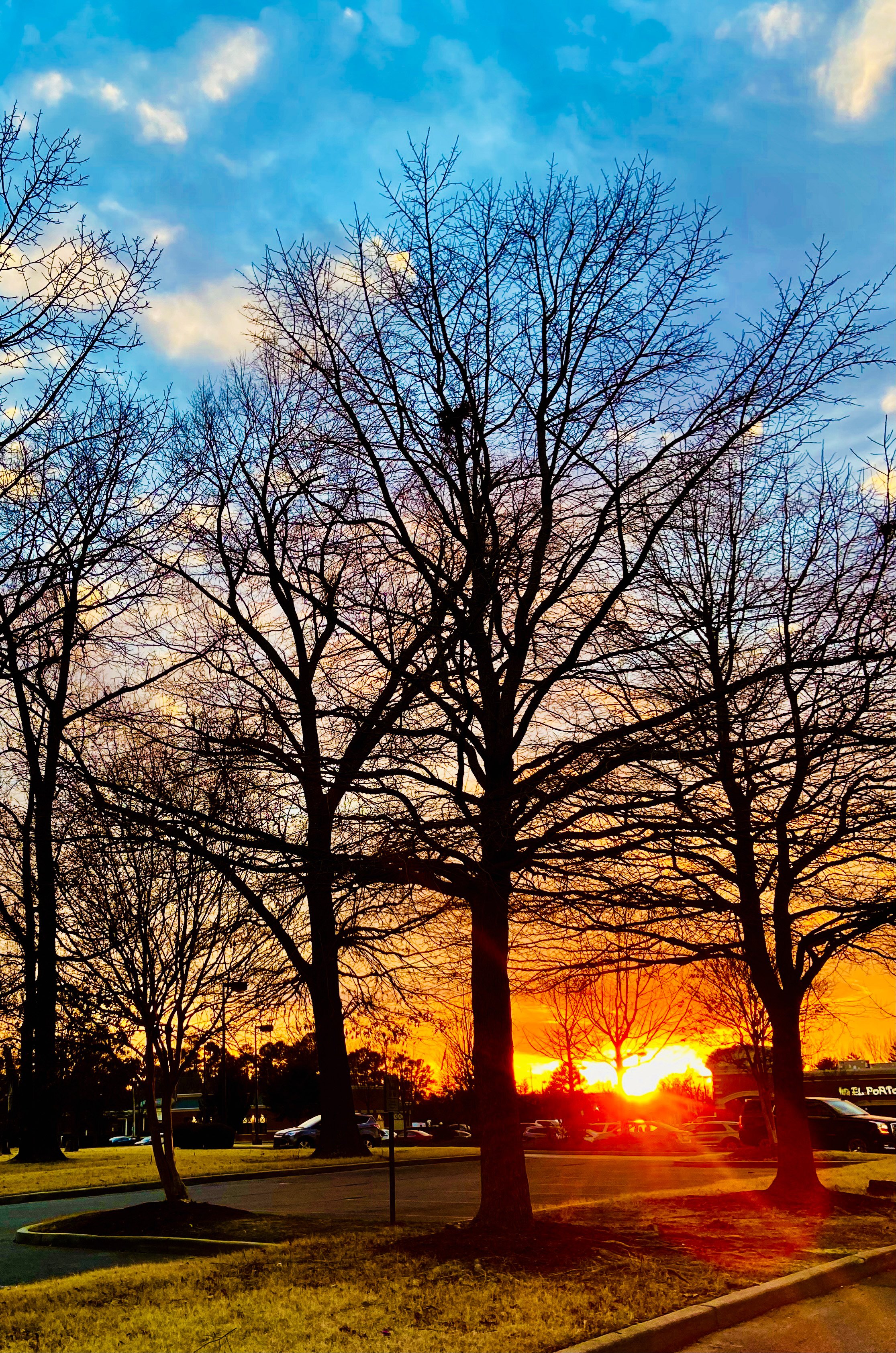 A vibrant sunset sky with a gradient of orange, yellow, and blue colors, silhouetted trees without leaves, and a parking lot with cars in the foreground.