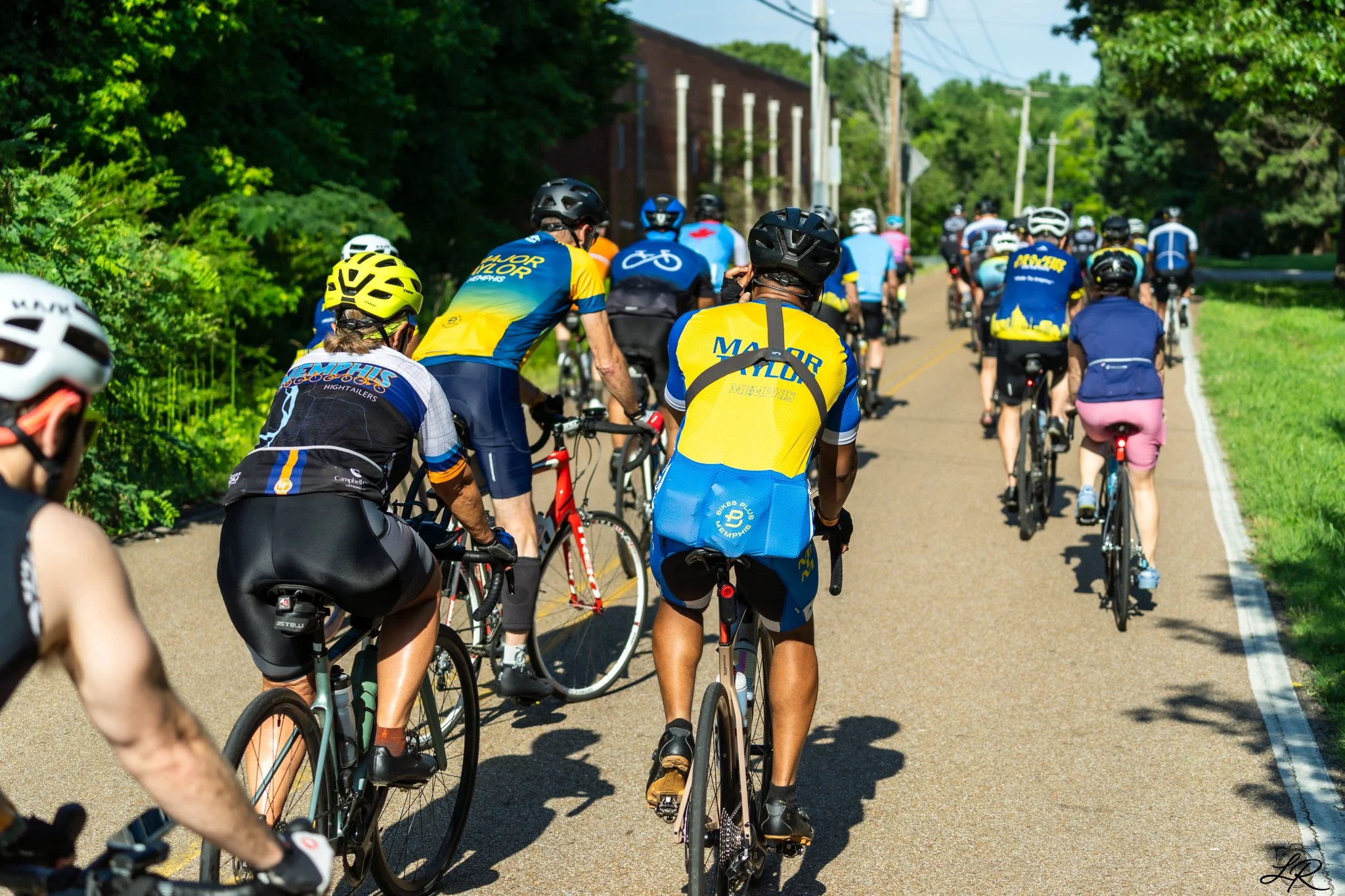 A large group of cyclists riding on a scenic road surrounded by lush green trees on a sunny day.